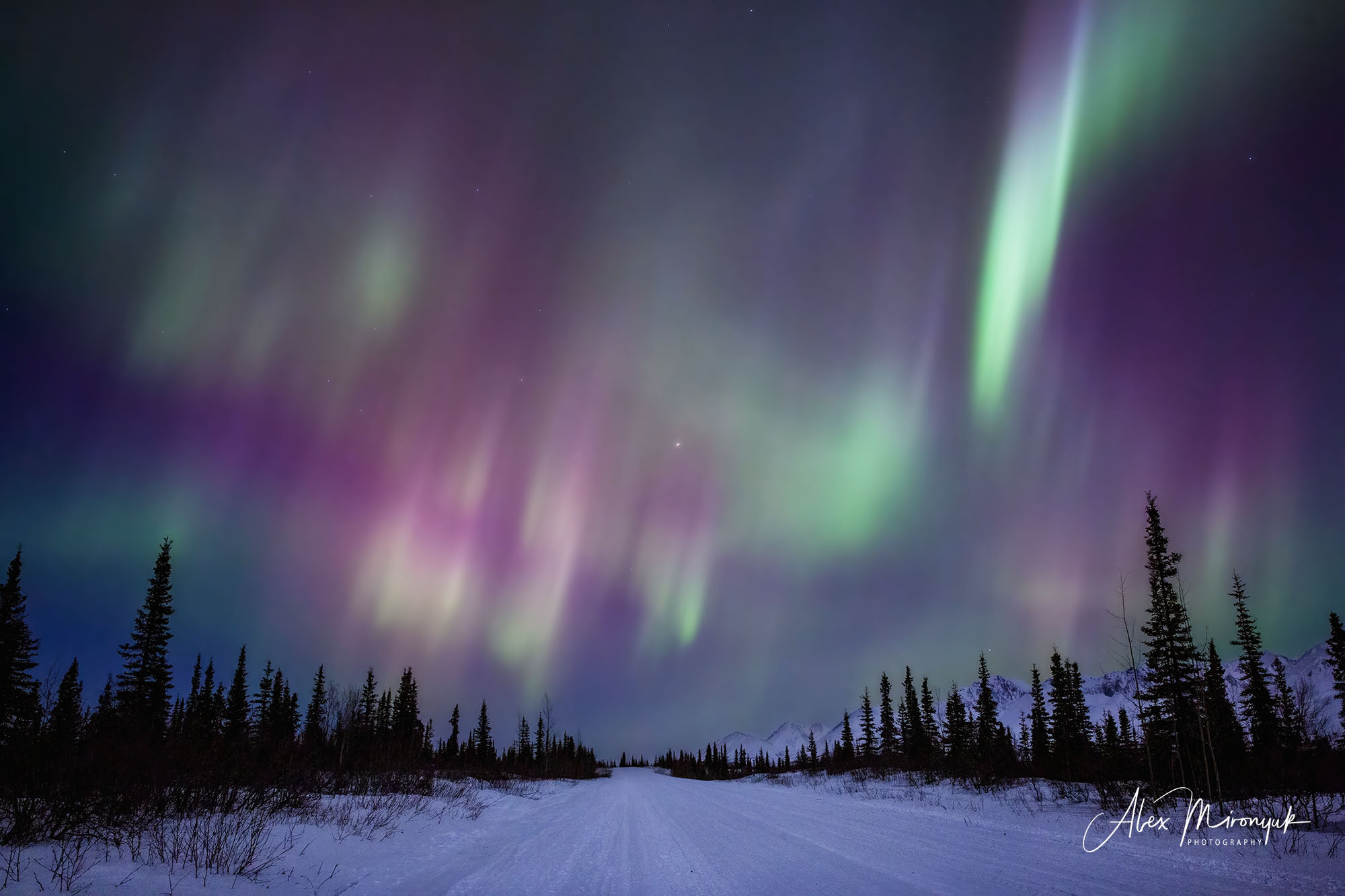 Chasing the Aurora Borealis. Alex Mironyuk Photography