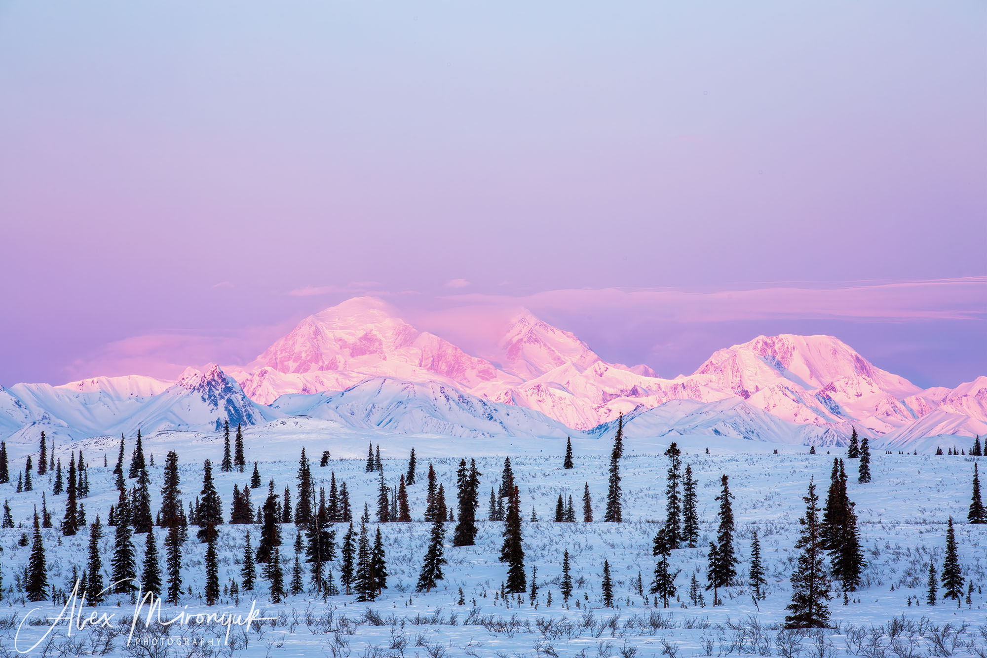 Chasing the Aurora Borealis. Alex Mironyuk Photography