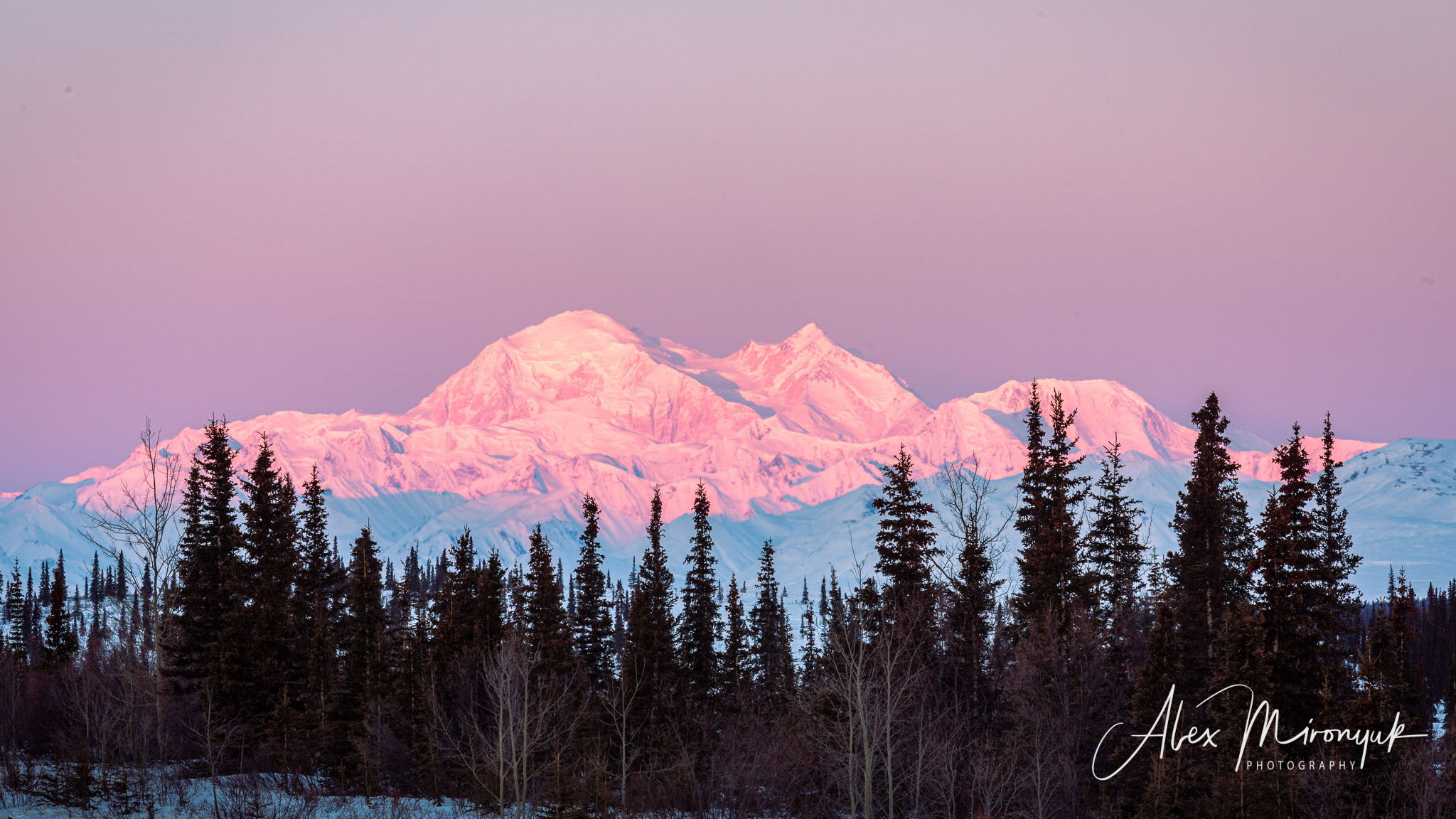 Chasing the Aurora Borealis. Alex Mironyuk Photography