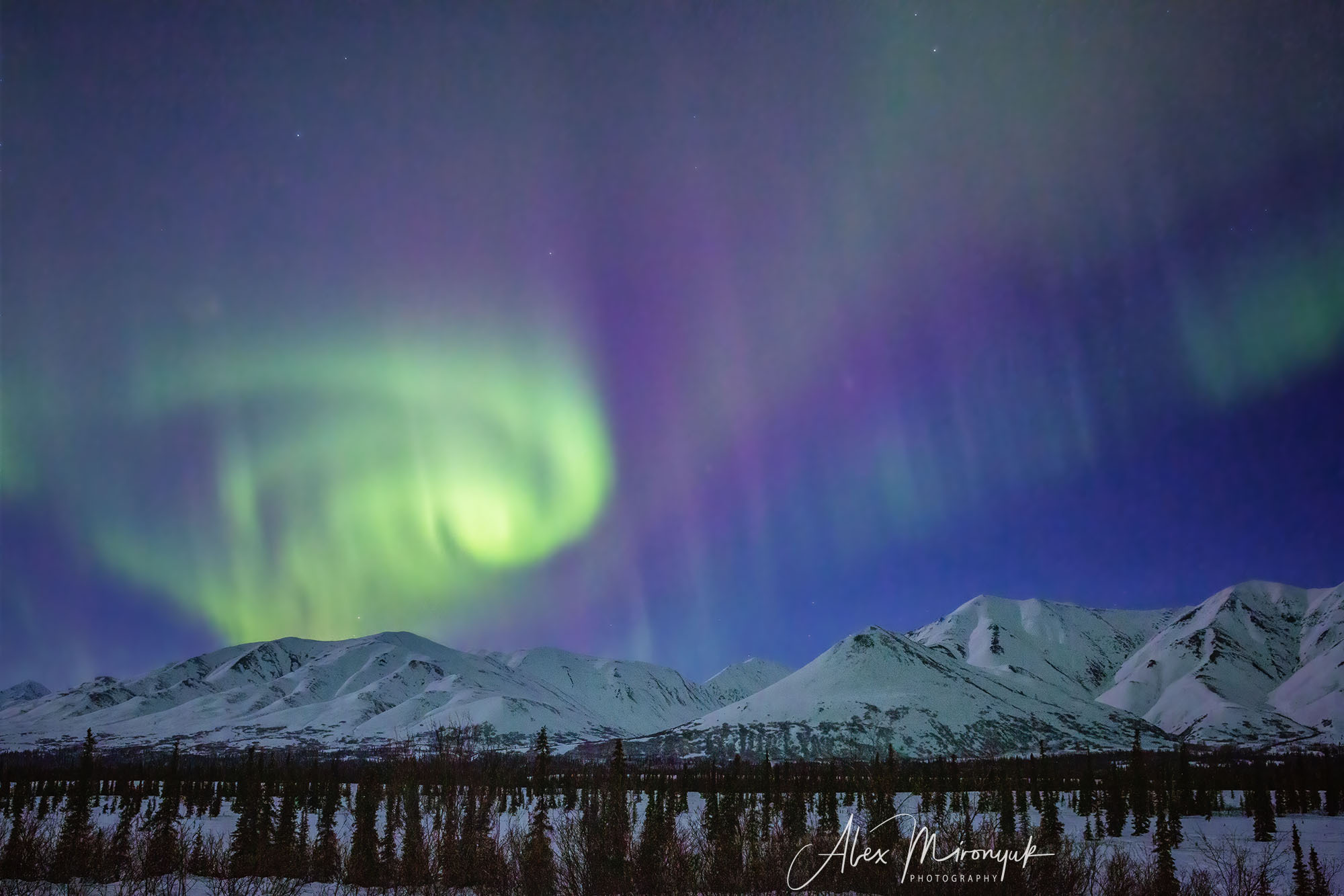 Chasing the Aurora Borealis. Alex Mironyuk Photography