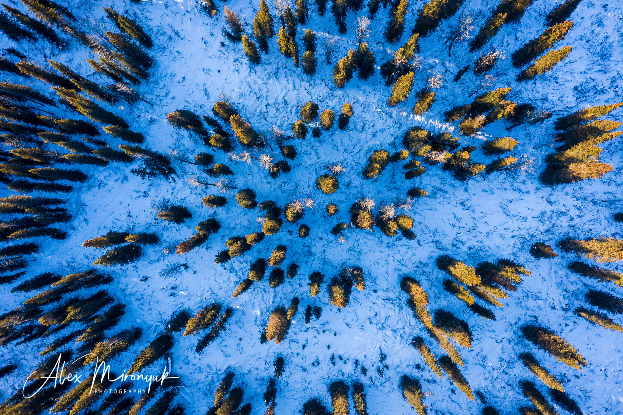 Chasing the Aurora Borealis. Alex Mironyuk Photography