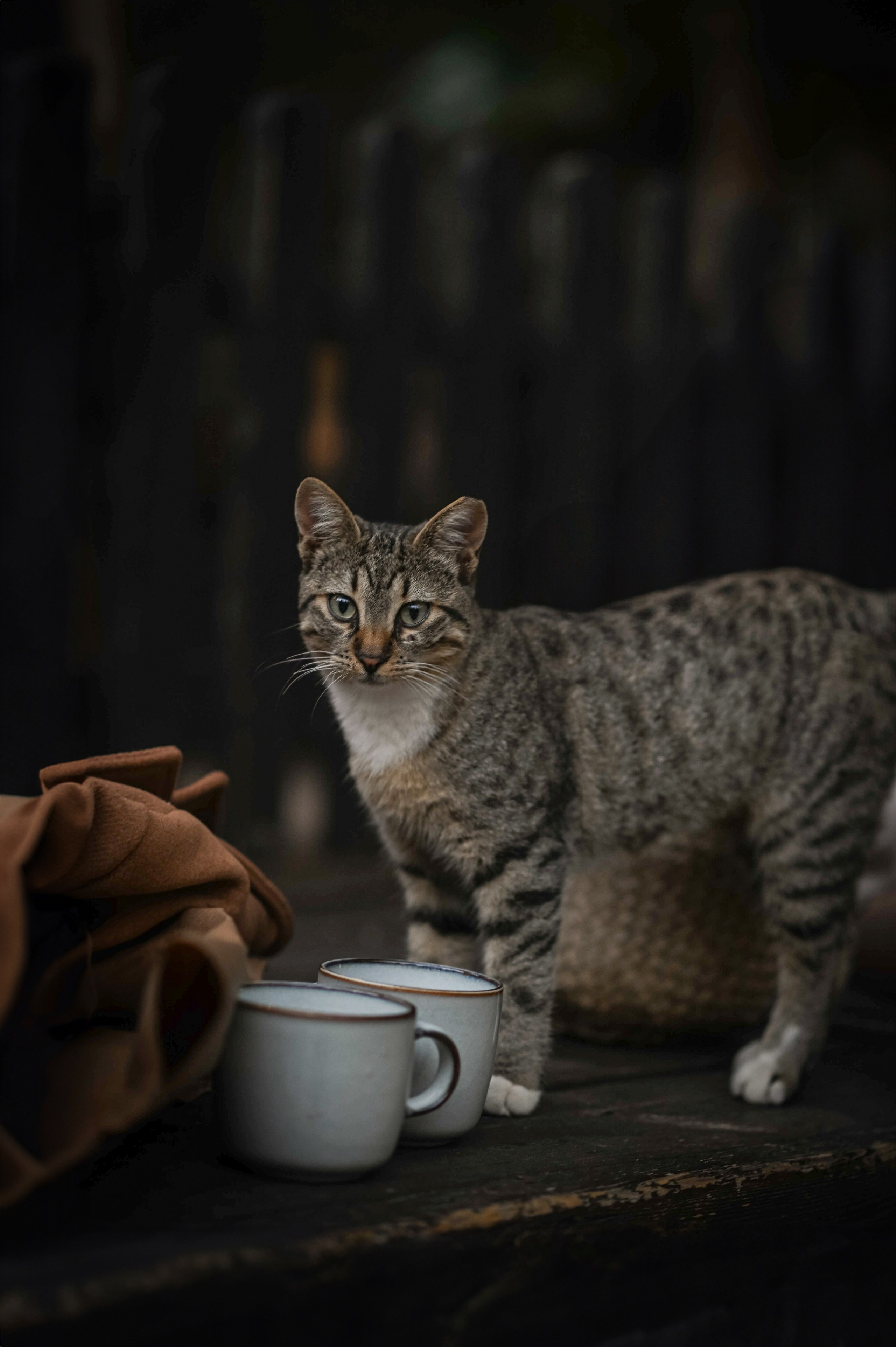 KIDS VINTAGE. Family, children, portrait, and event photography in Thessaloniki