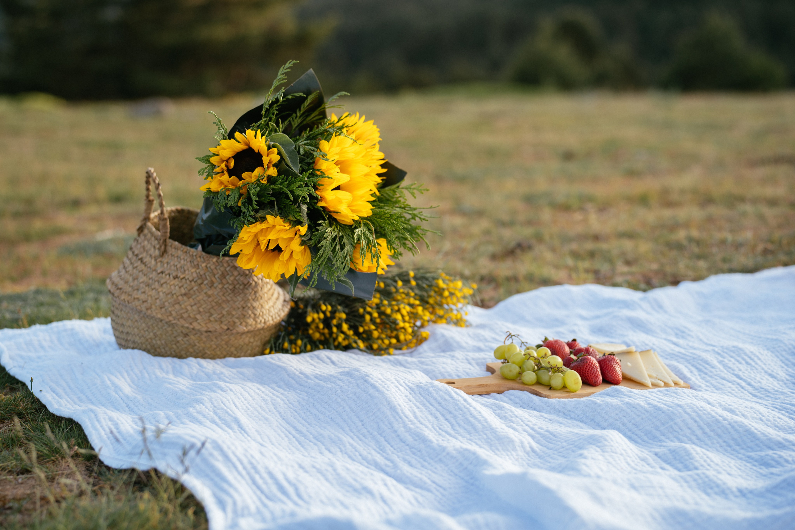 Marrige proposal in the mountains. Фотограф в Мадриде Алена Белянинова