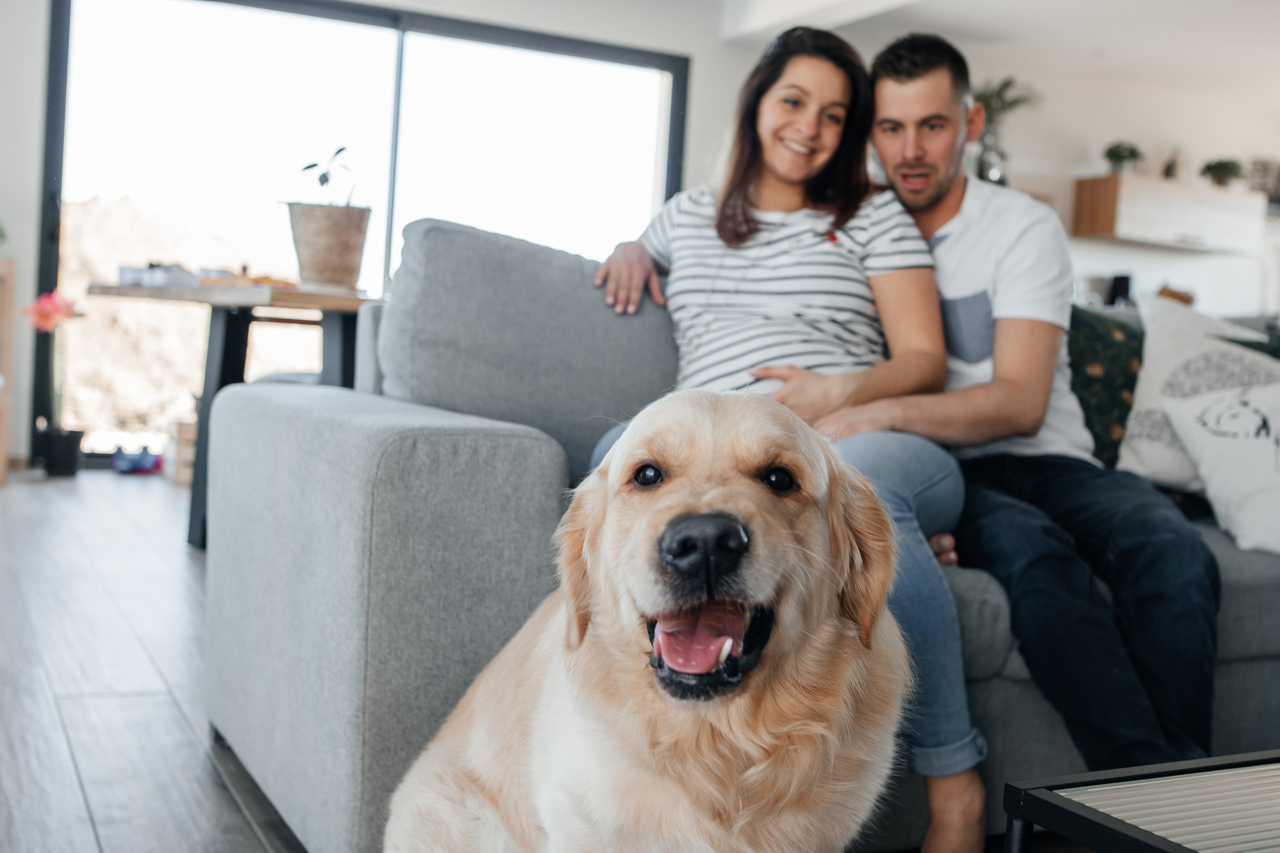 L’Amour qui Grandit. Photographe à Chartres Ekaterina Kudinova