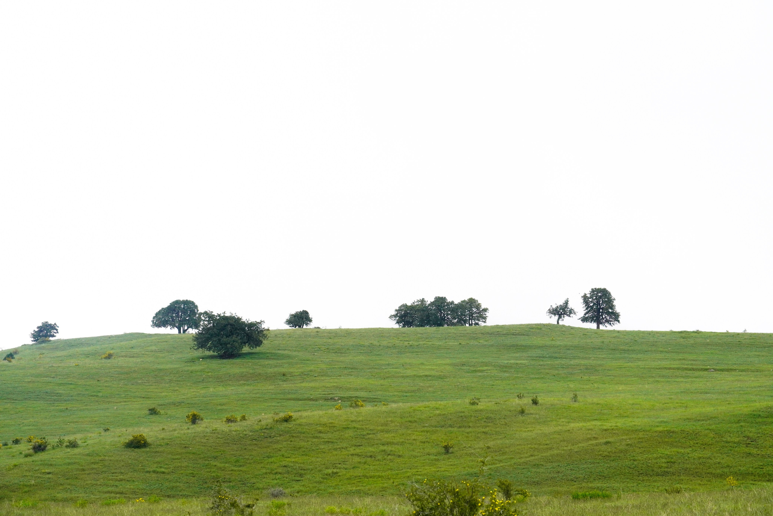 Landscape. Melikov Amir, Uzbekistan based photographer