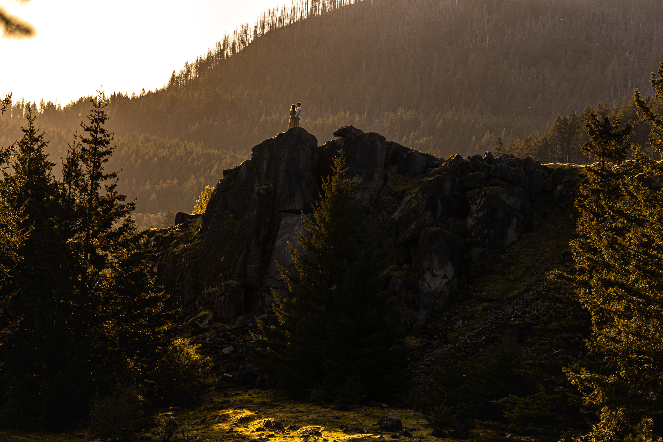 Family and Wedding photographer