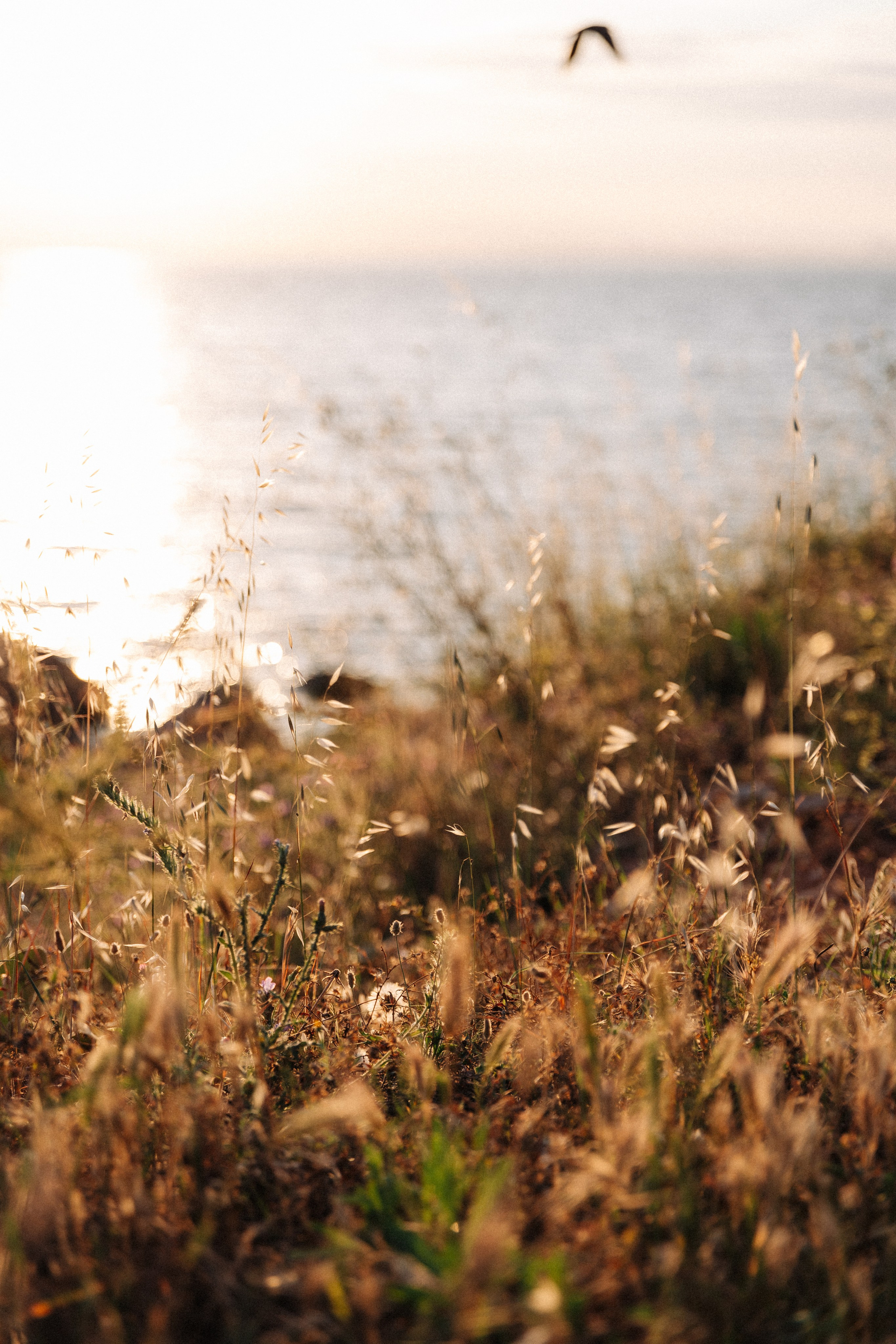 . Фотопрогулки в Стамбуле