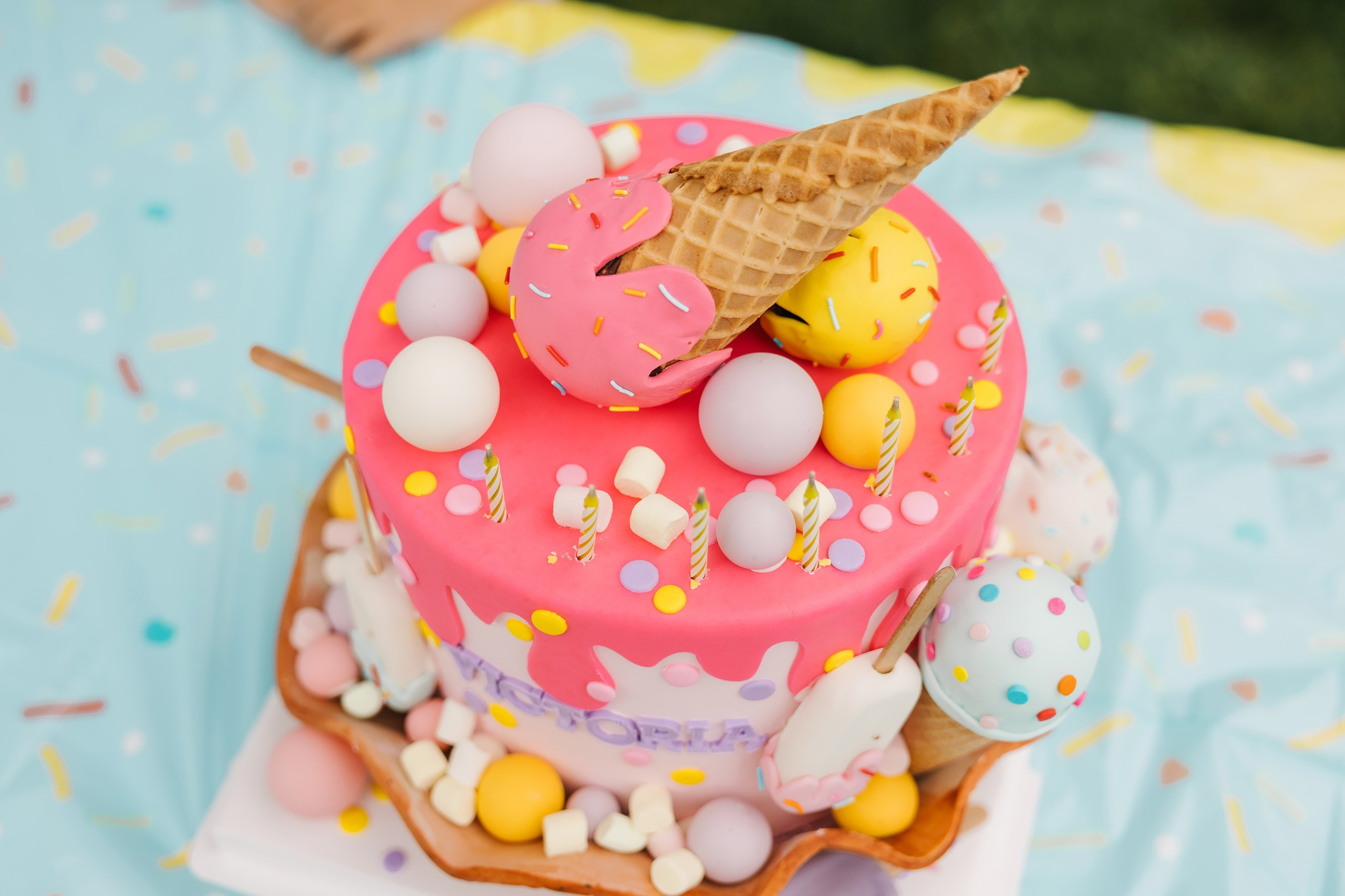 Birthday Party. Wedding family event photographer in Chicago Nick Yushevich