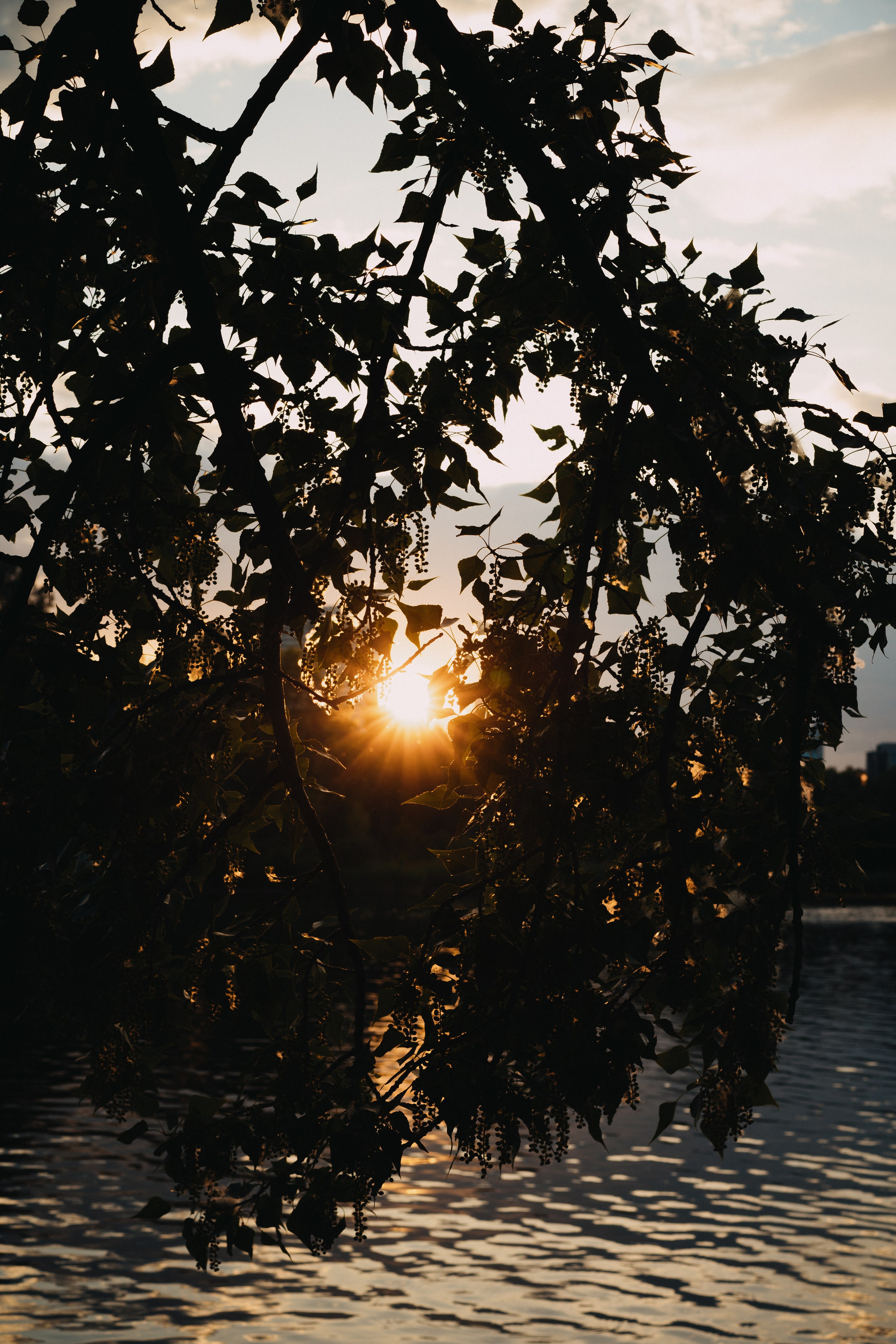 Brotherhood. Elena Baturina Photography