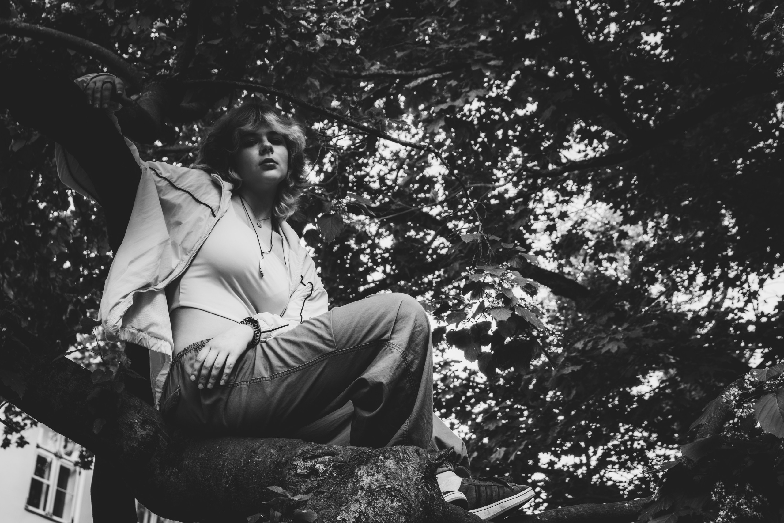 Lahe graatsia (Sonja). Nebula 25 — Fotod teie hingele