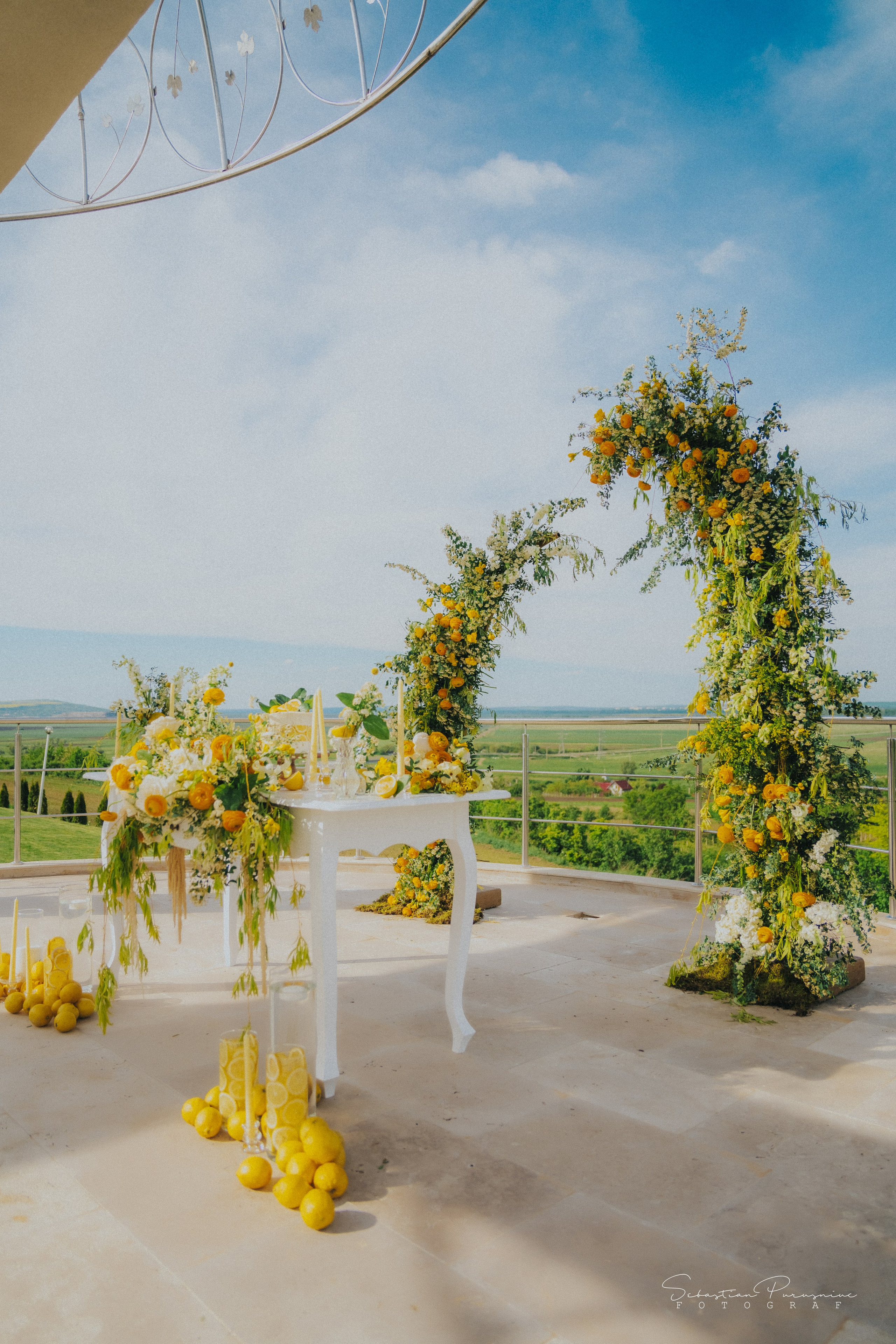 Love & Lemons. Sebastian Purusniuc Fotograf - Iasi