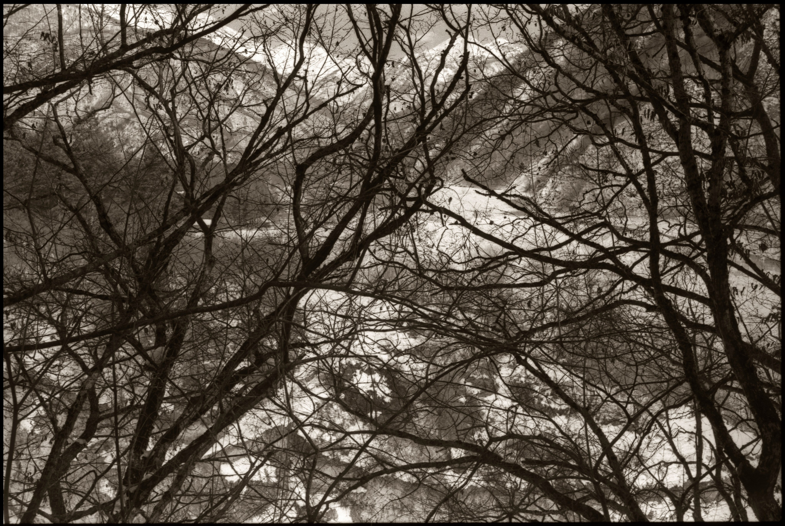 NATURE. Www.sananphotography.com