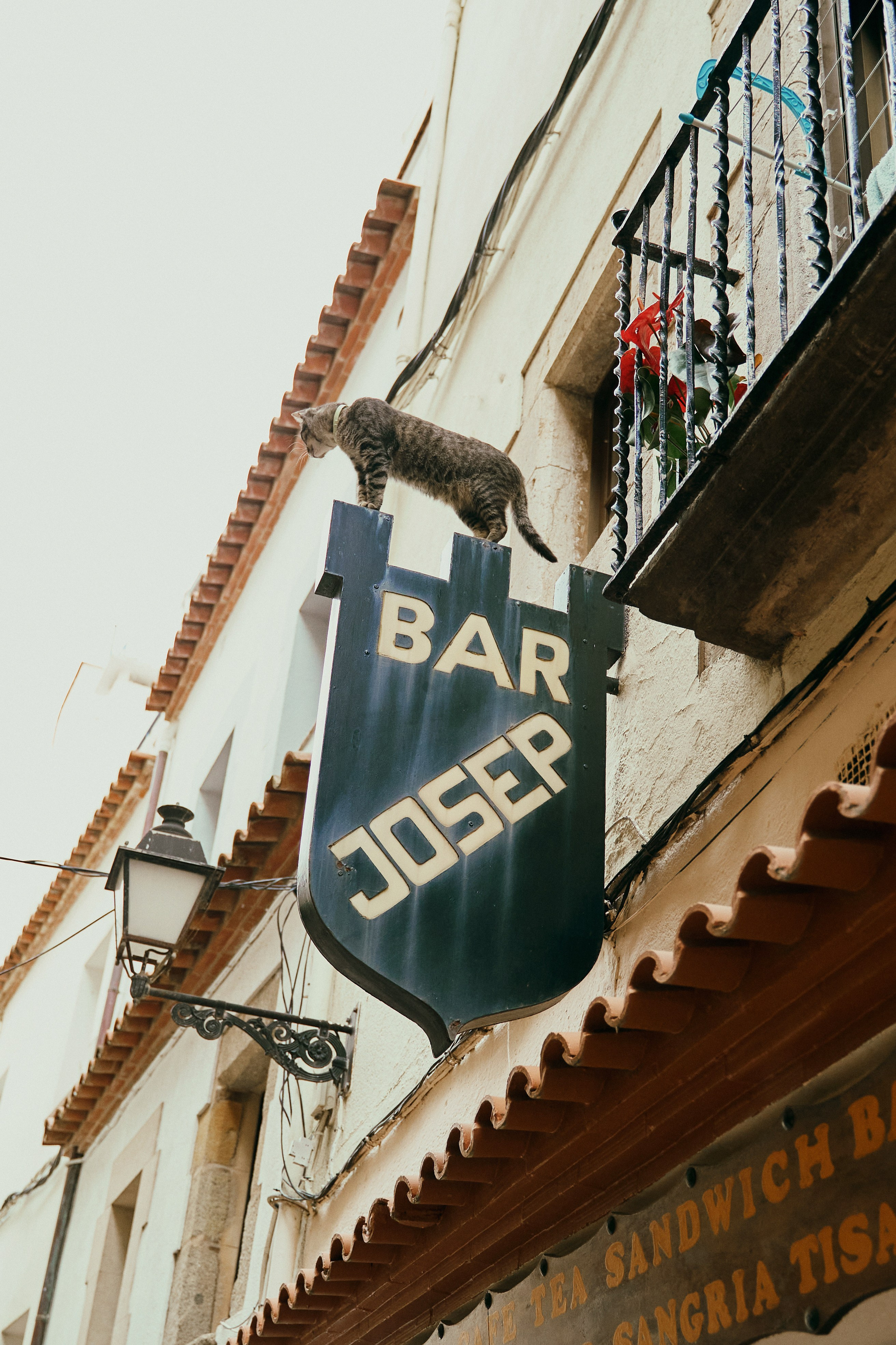 The runaway bride. Photographer in Barcelona Spain Zhanna Zakharchenko