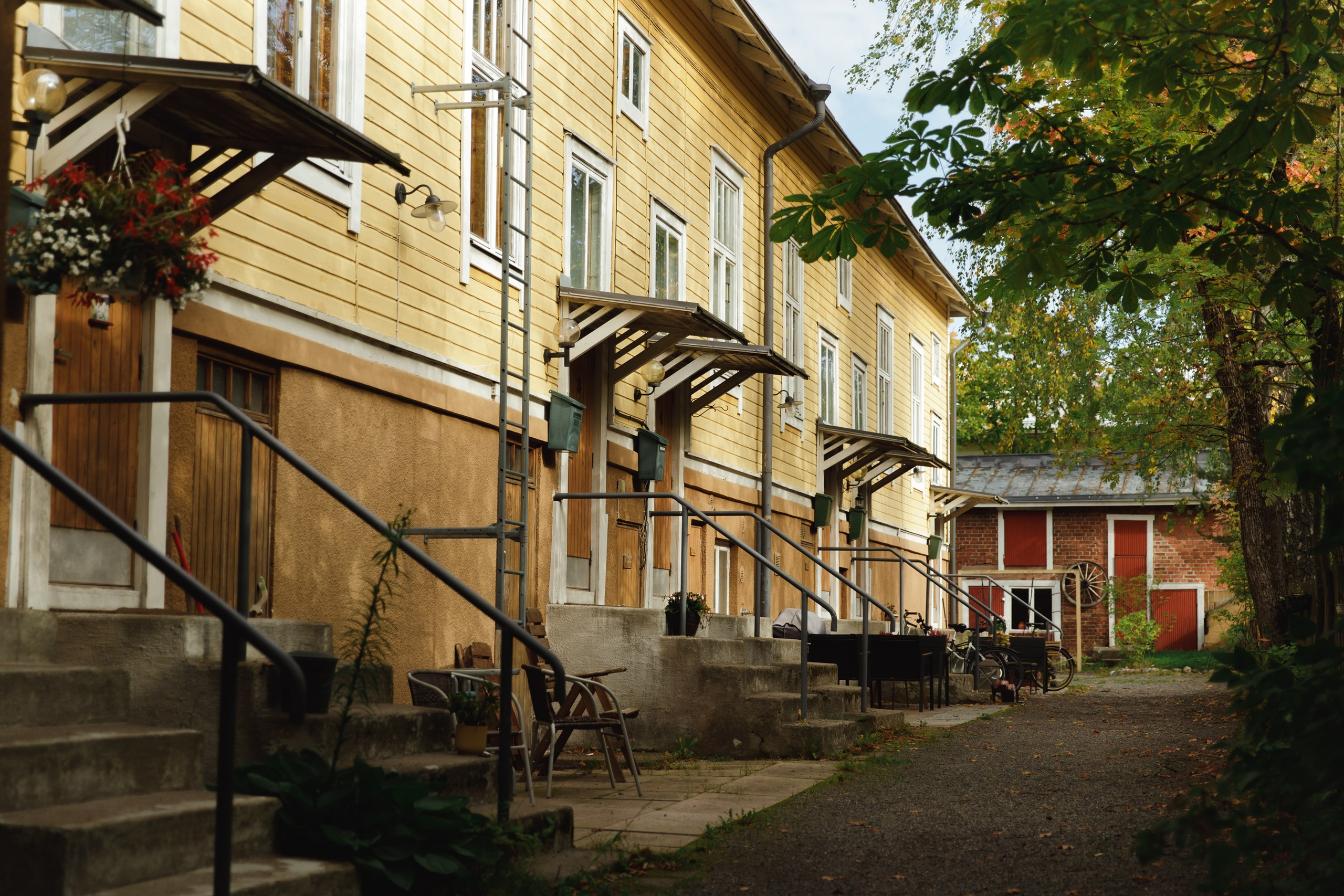 Turku. Kaja | fotograf psów we Wrocławiu