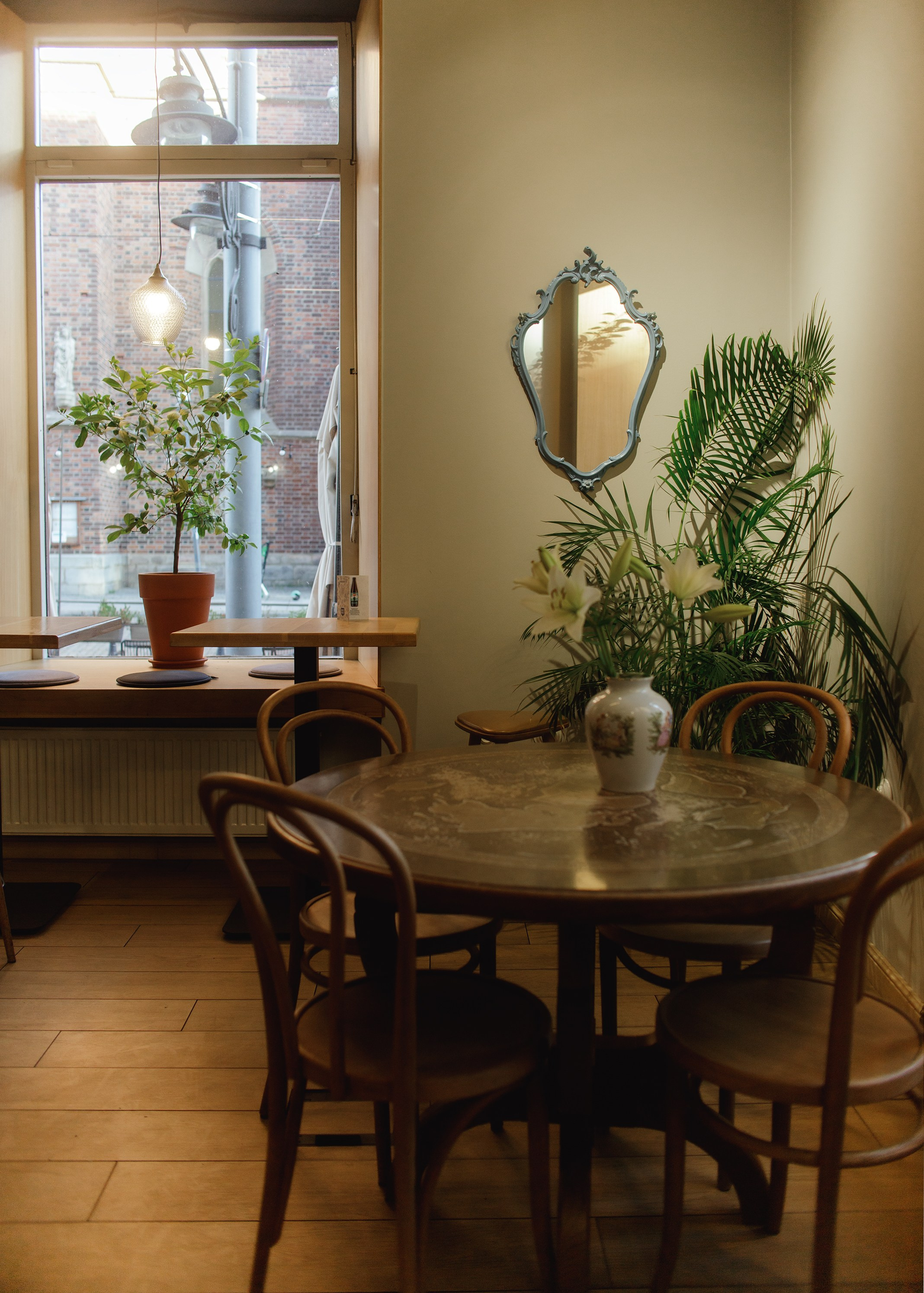 Nastya. Kaja | fotograf psów we Wrocławiu