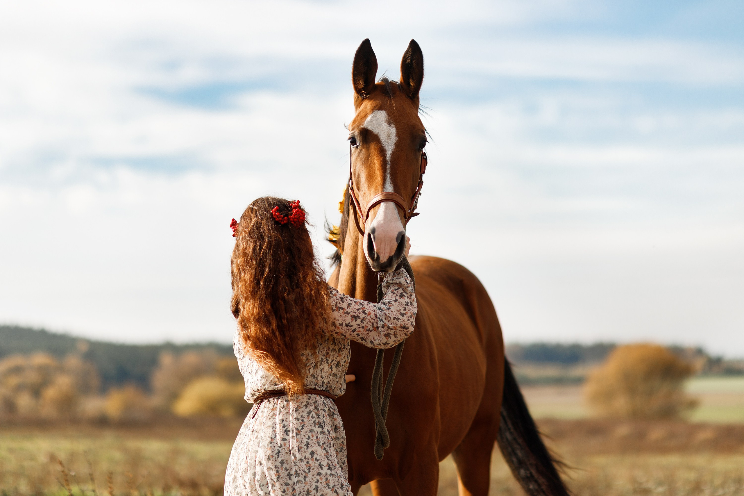 Aibike | autumn. Kaja | fotograf psów we Wrocławiu
