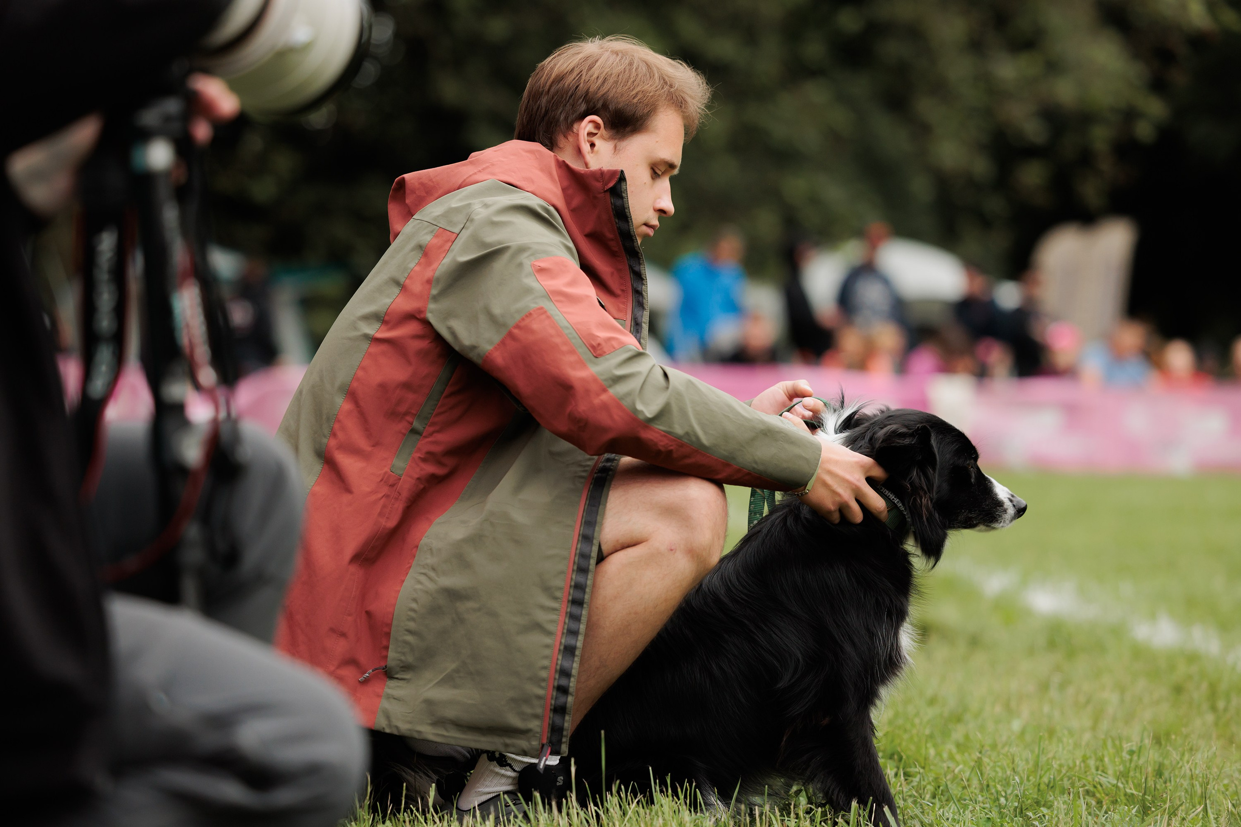 Latające psy, Wrocław'25. Kaja | fotograf psów we Wrocławiu