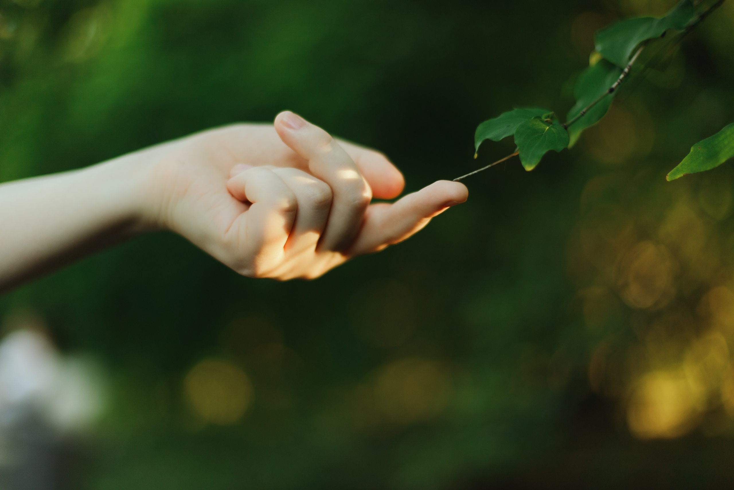 Nadya. Kaja | fotograf psów we Wrocławiu
