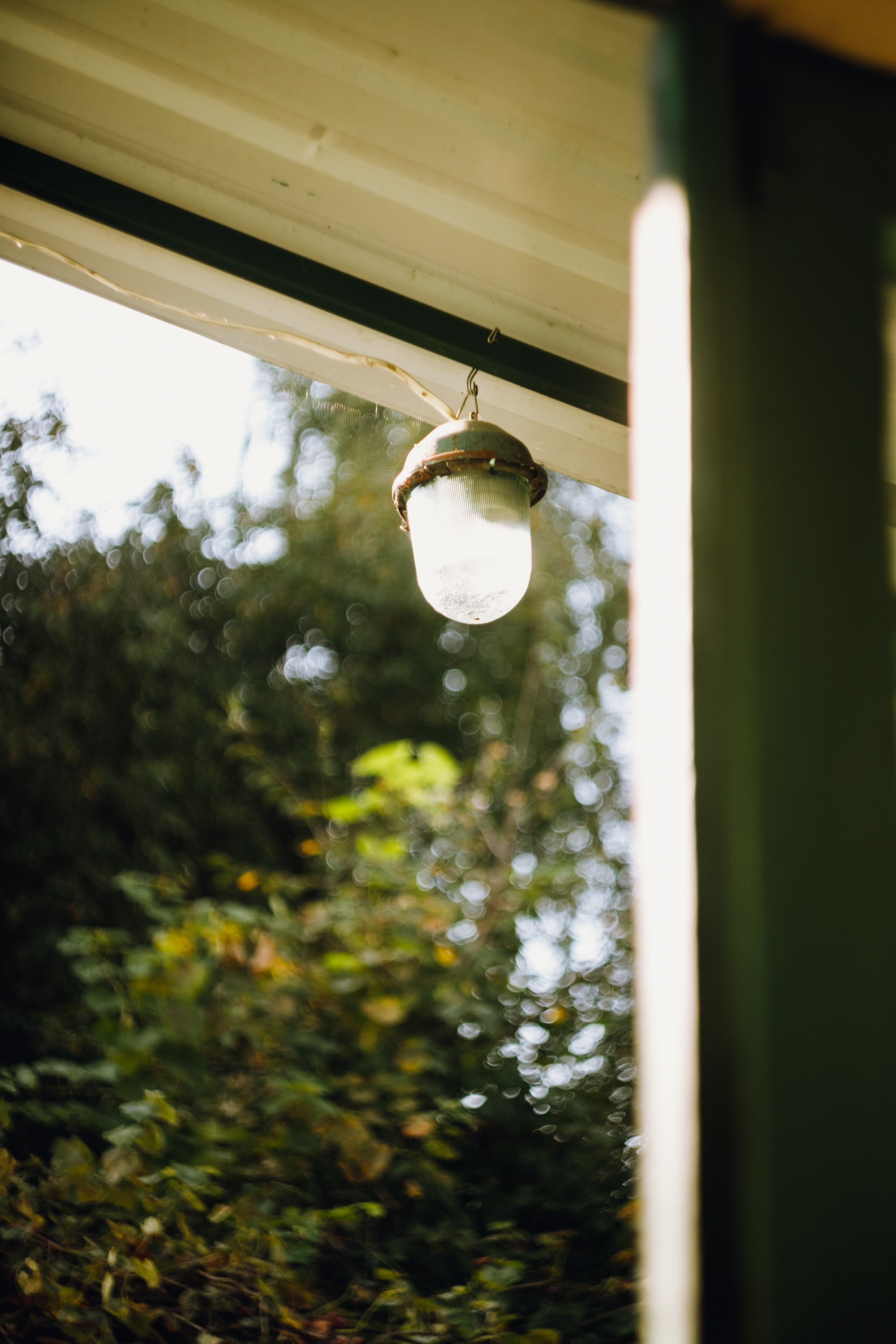 Grandmother's home in Brest. Kaja | fotograf we Wrocławiu | ludzie i psy