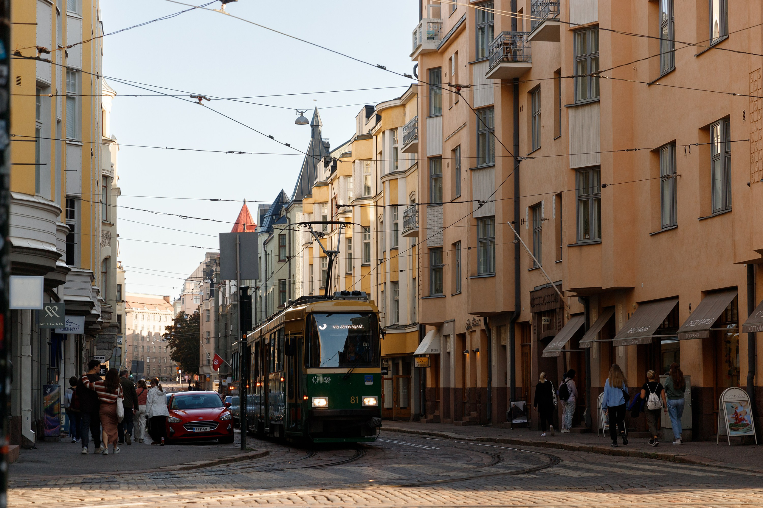 Helsinki. Kaja | fotograf psów we Wrocławiu