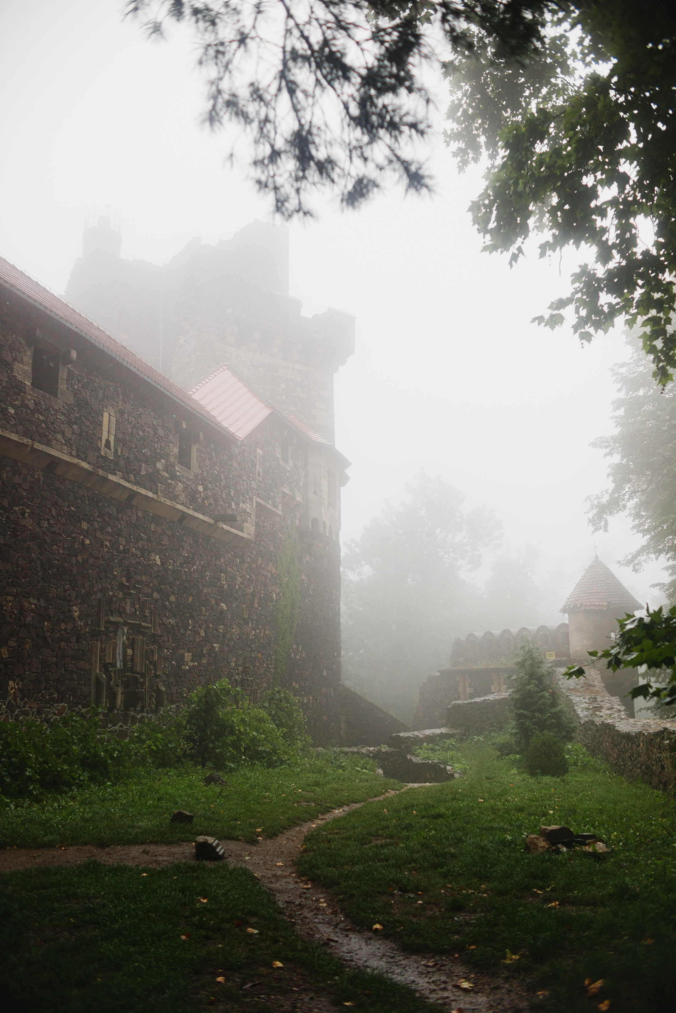 Zamek Grodziec. Kaja | fotograf psów we Wrocławiu