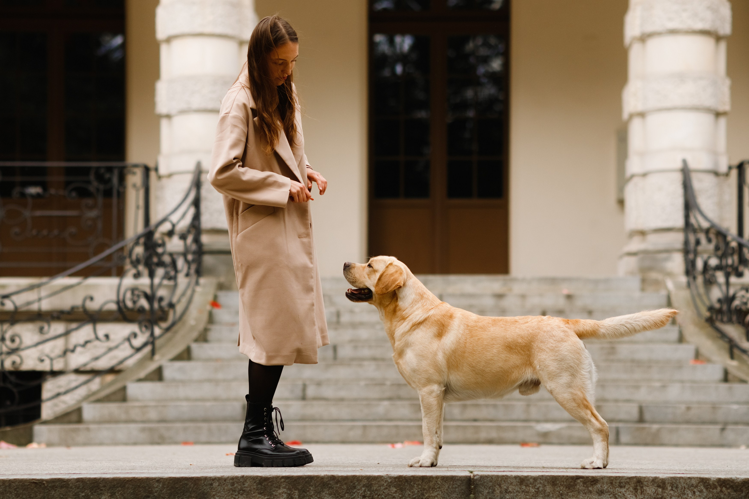 Katya & labrador. Kaja | fotograf psów we Wrocławiu