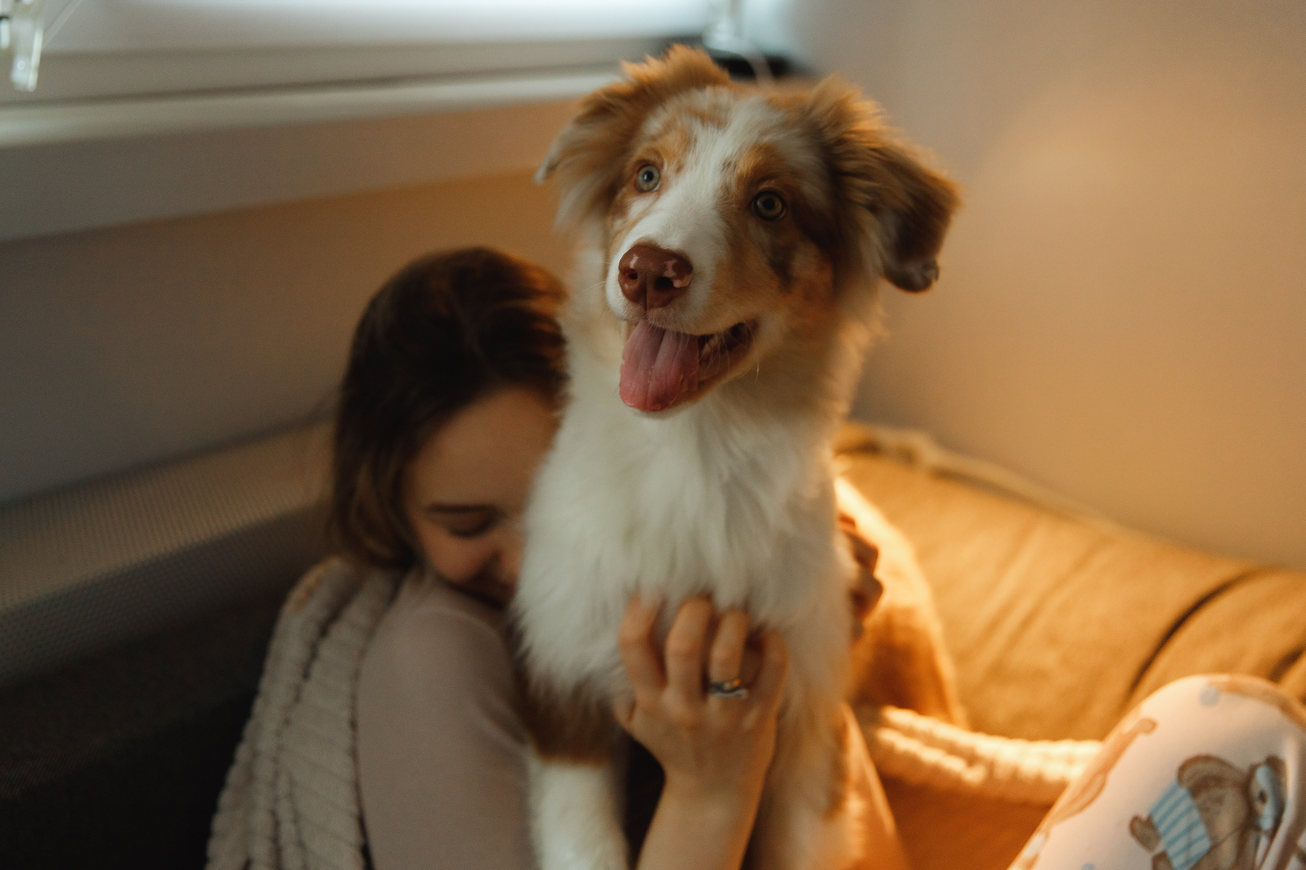 Fotografia psów Wrocław. Kaja | fotograf we Wrocławiu | ludzie i psy