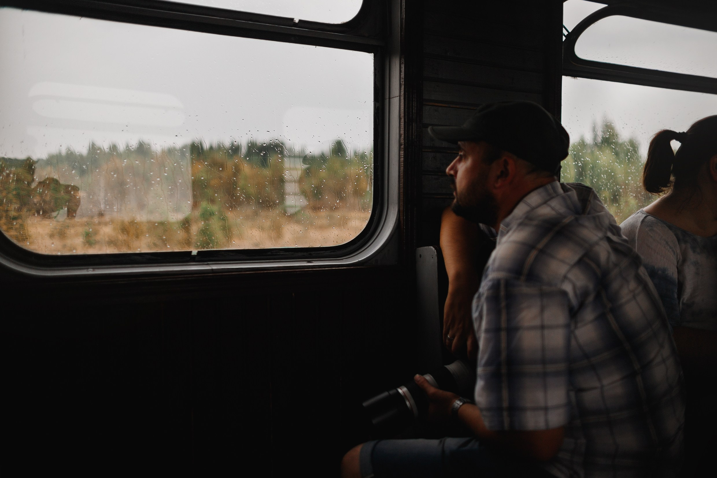 Narrow-gauge railway trip. Kaja | fotograf psów we Wrocławiu