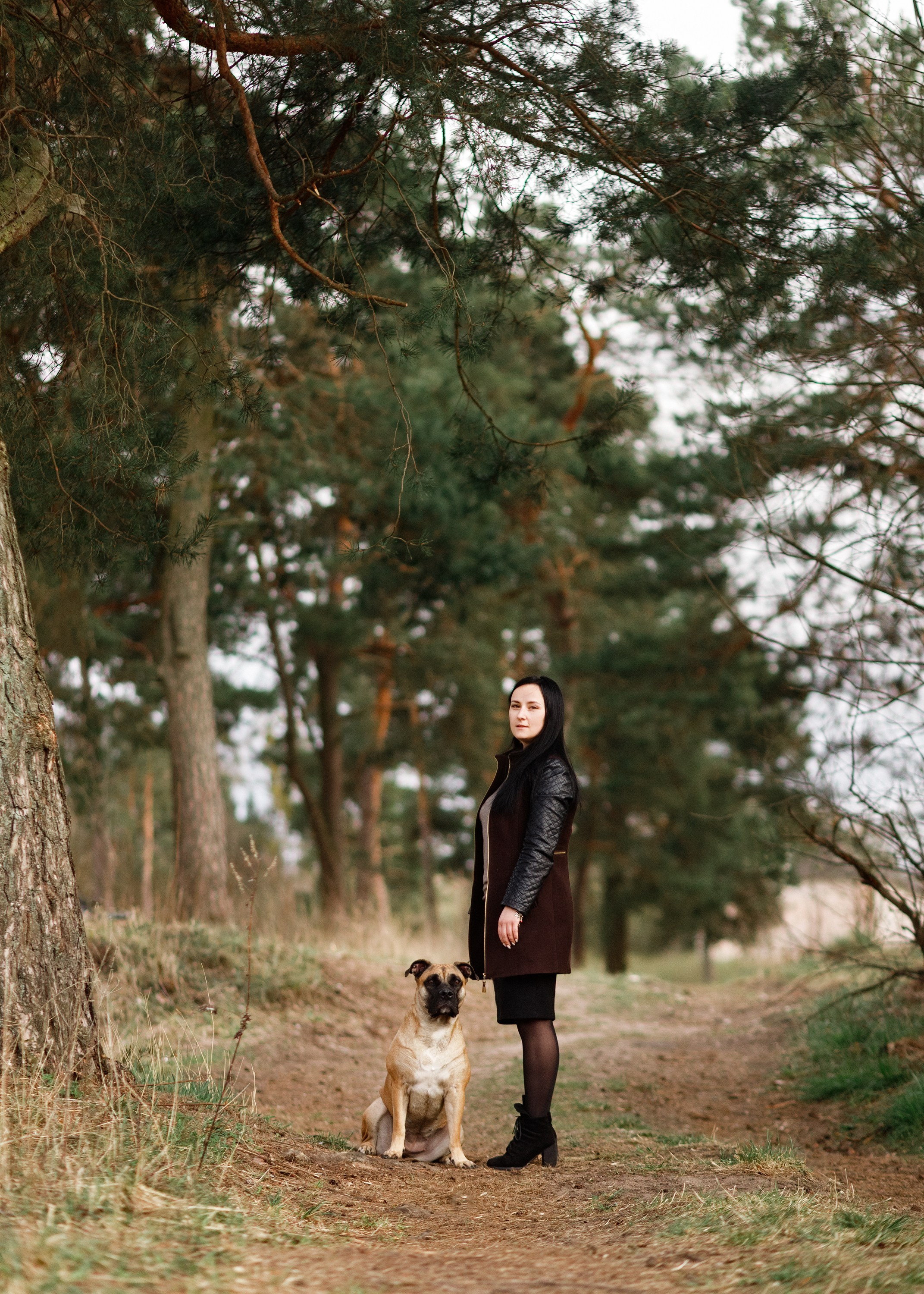 Spring ca de bou. Kaja | fotograf psów we Wrocławiu
