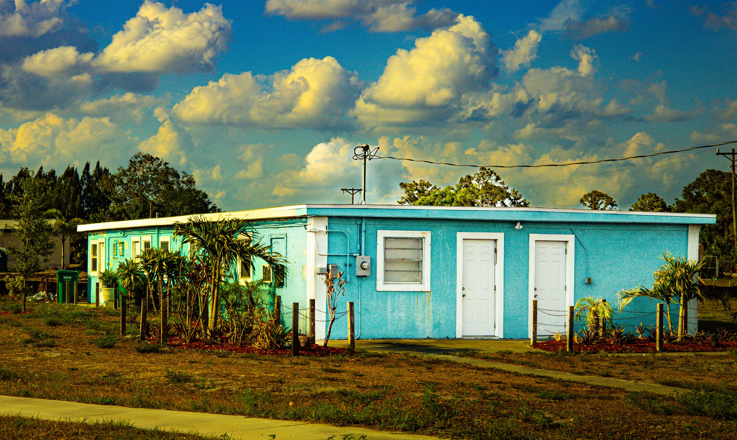 Americana — Immokolee. Out and About 239