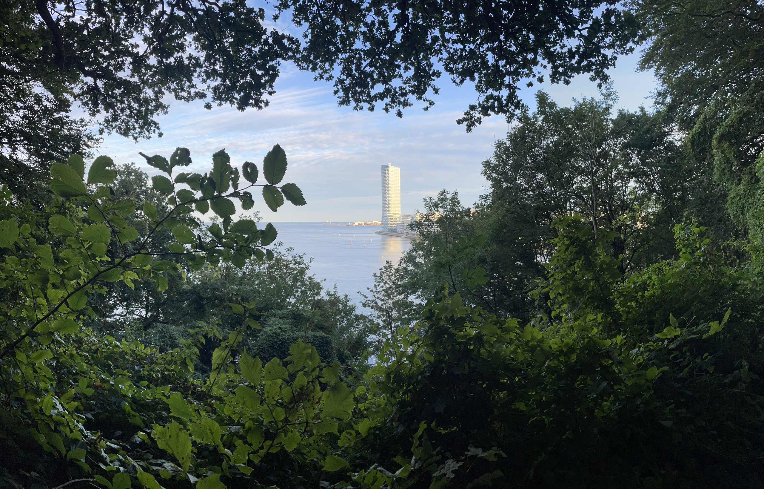 Sommer. Fotograf Aarhus | Portrætfoto Århus | Flotte billeder