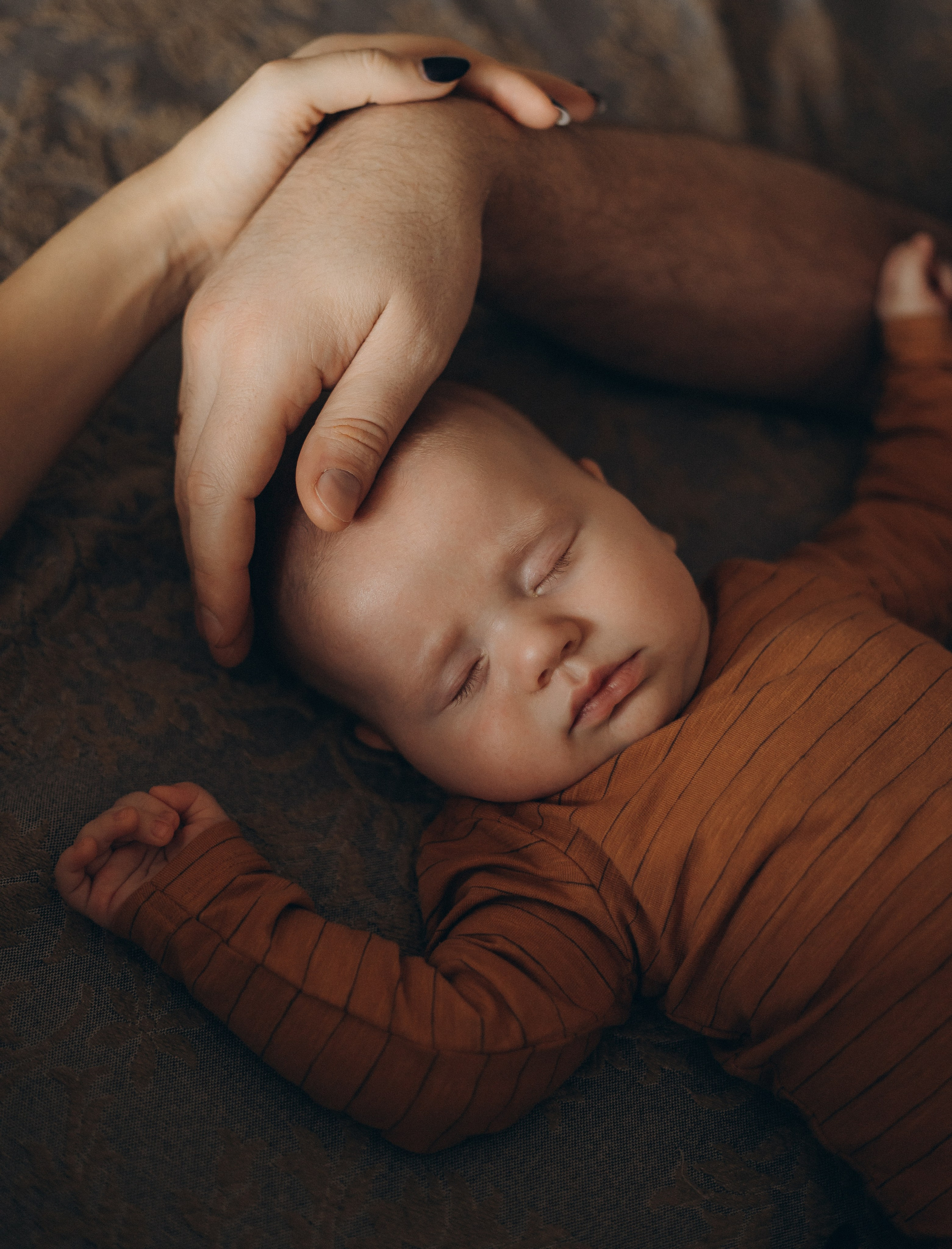 LĪVAS ģimene. GALVENĀ