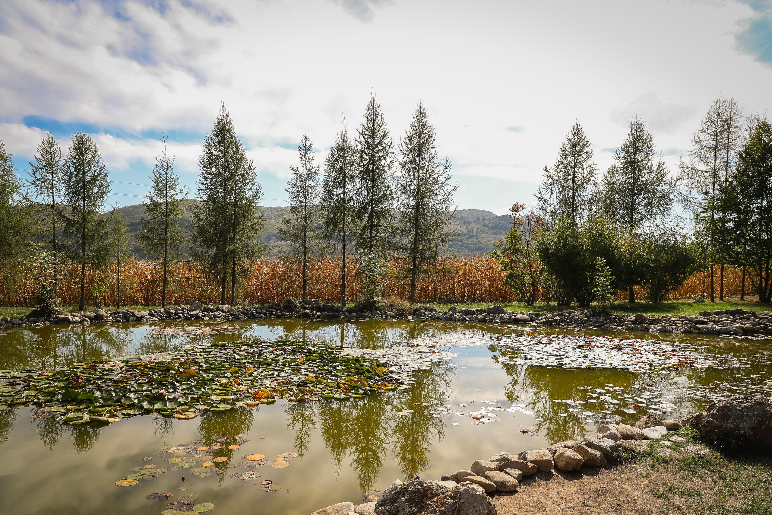 Orsi & Remus, eleganță în inima Transilvaniei. Rares Bucur is a professional wedding photographer based in Cluj-Napoca, Romania, specializing in wedding photography