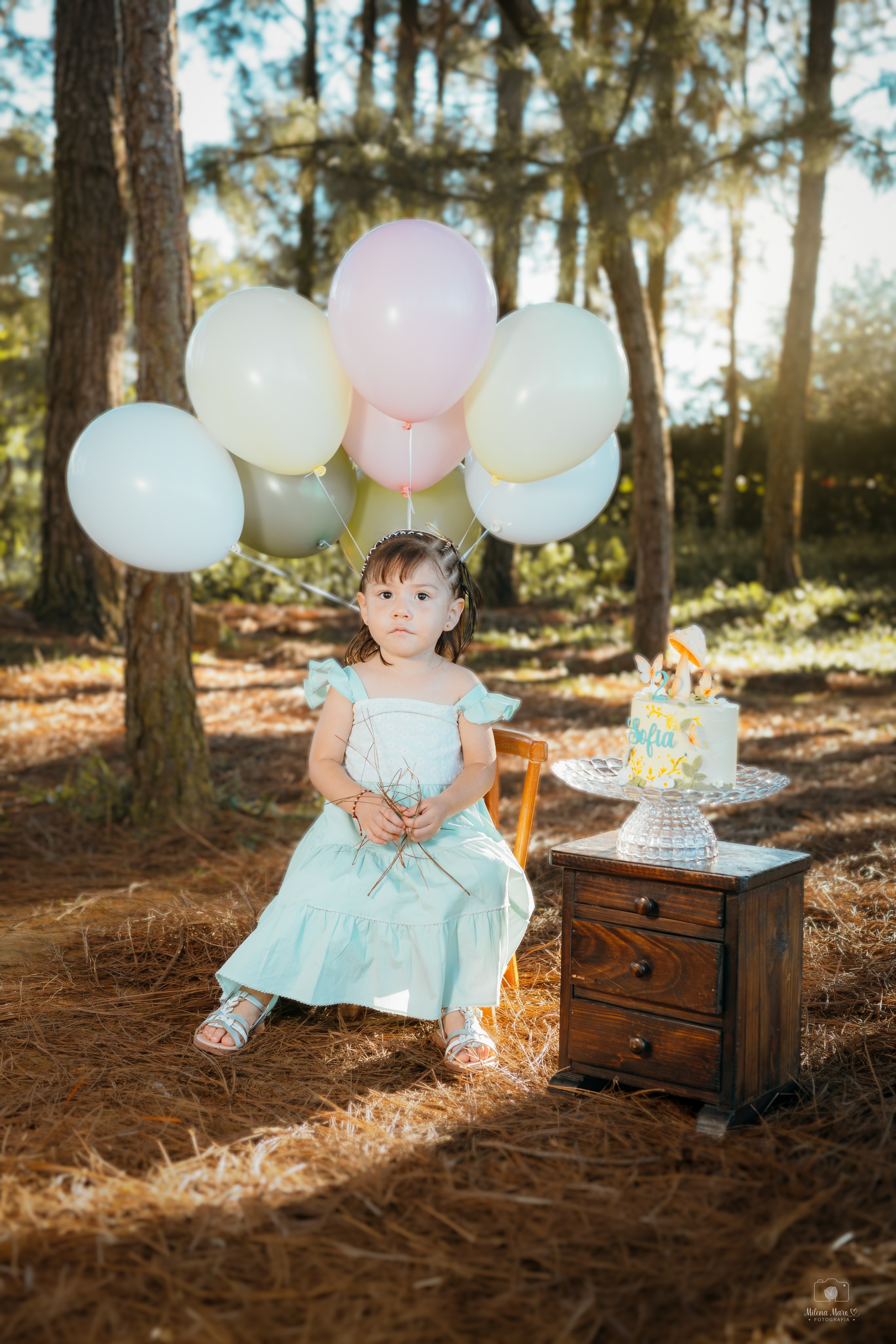 SESIÓN DE FOTOS DOS AÑOS. Milena Maro Fotografía: estudio profesional en Acacías, Meta. Retrato familiar, infantil, maternas, eventos y empresas