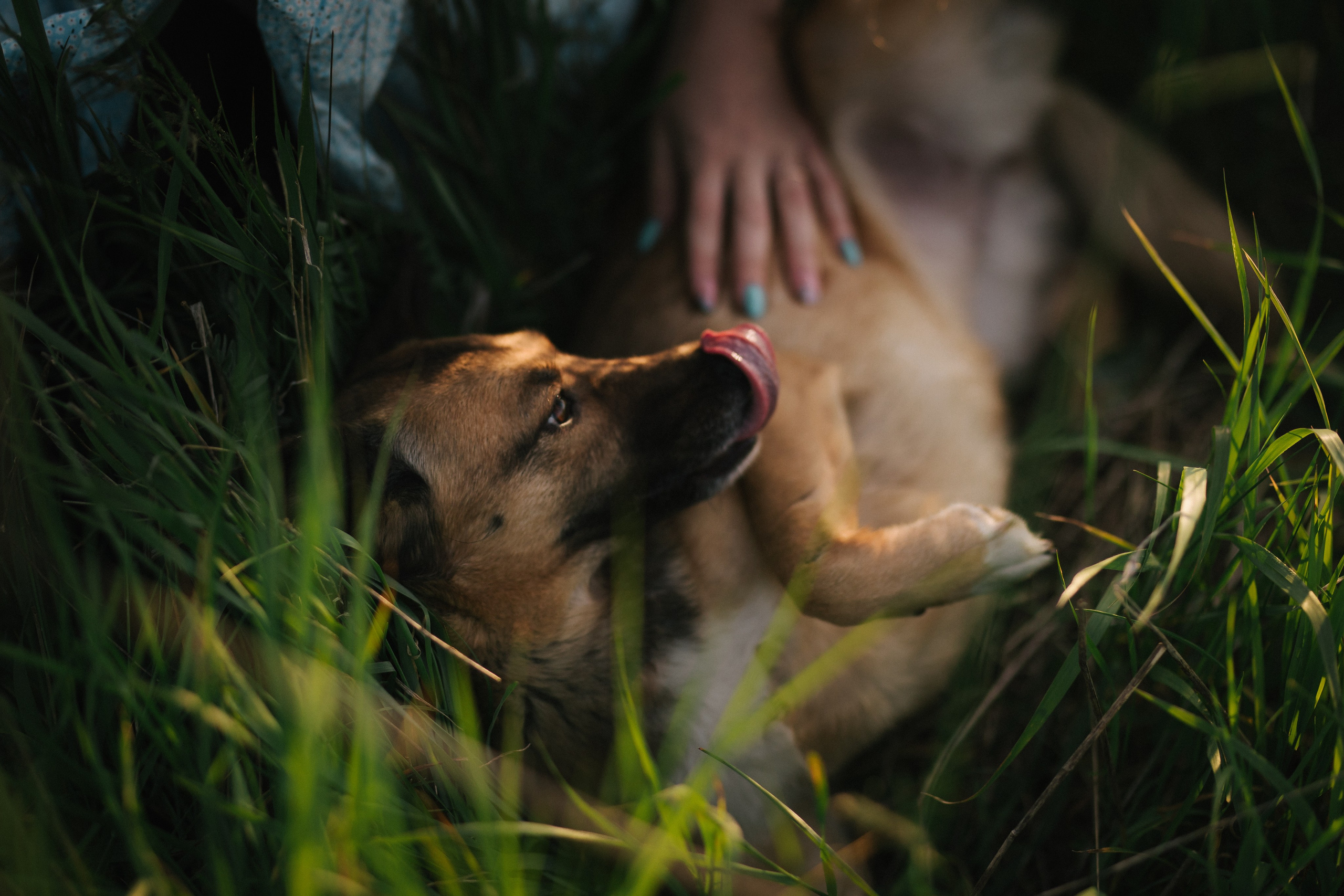 Asmeninė fotosesija Marijampolės apylinkėse
