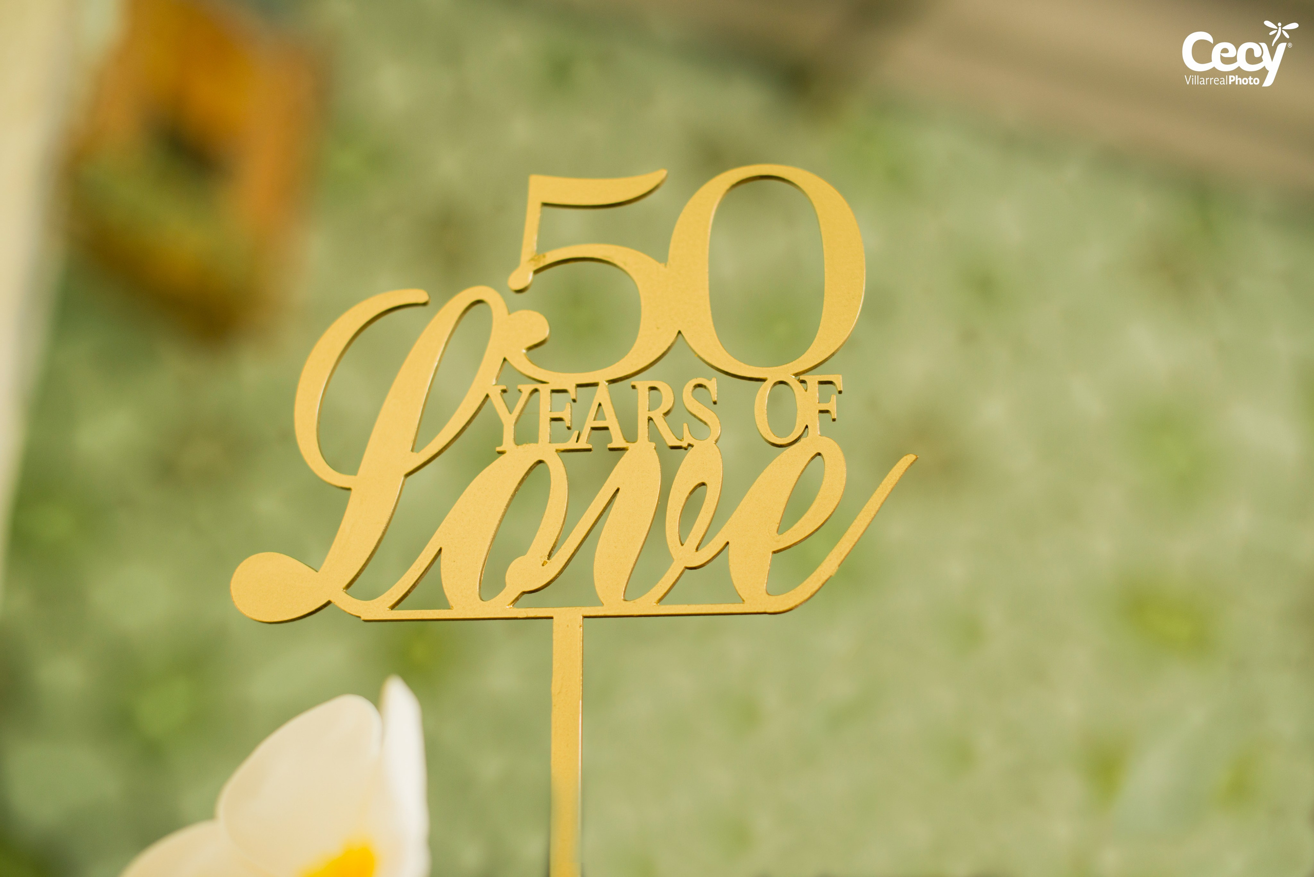 BODAS DE ORO - GUADALUPE Y FRANCISCO