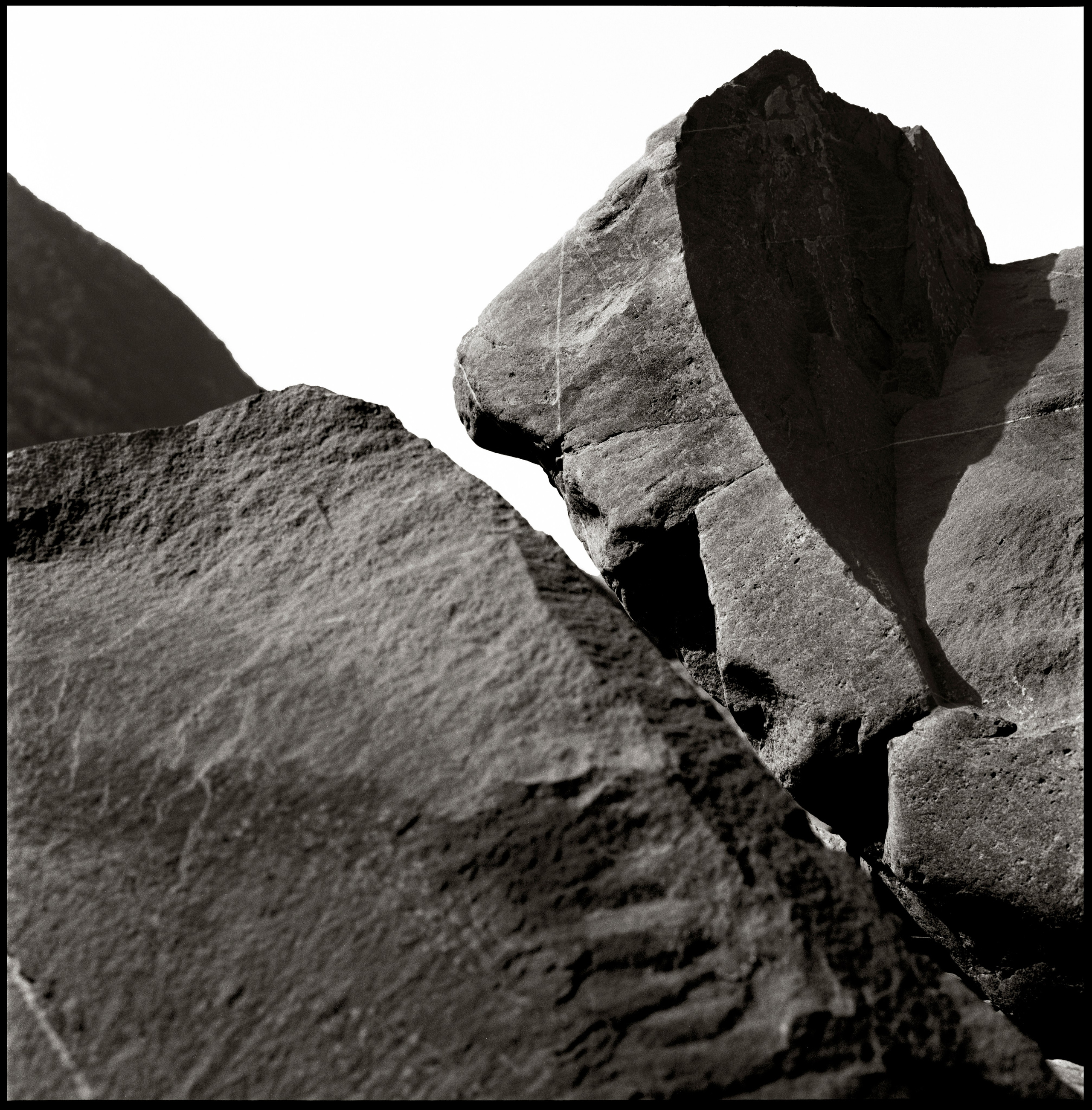 NATURE. Www.sananaleskerov.com