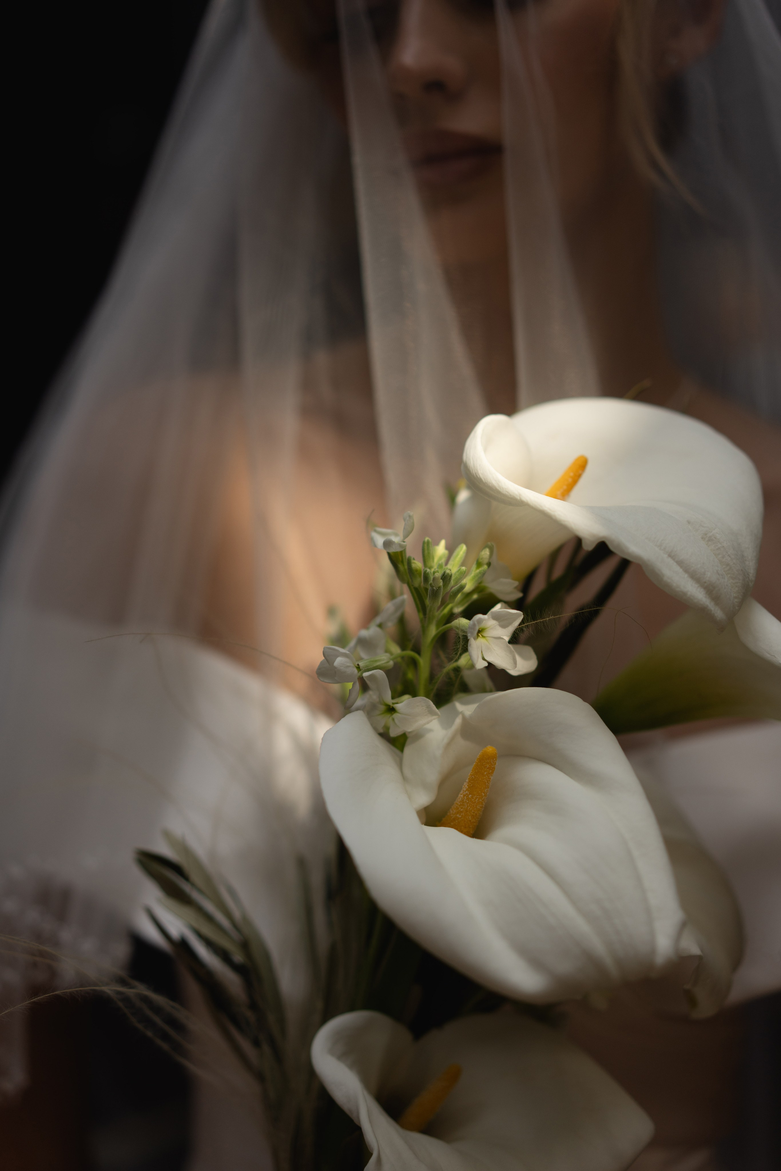 Дарья Филькова — фотограф и видеограф в Тбилиси, Грузия