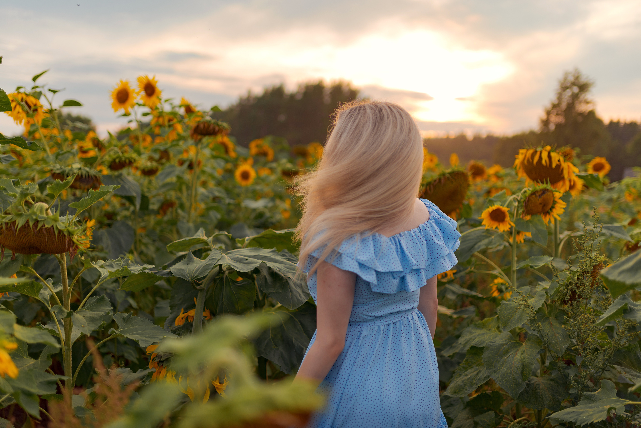 Фотосесия на природе. Fotogrāfs Aivars MIleika