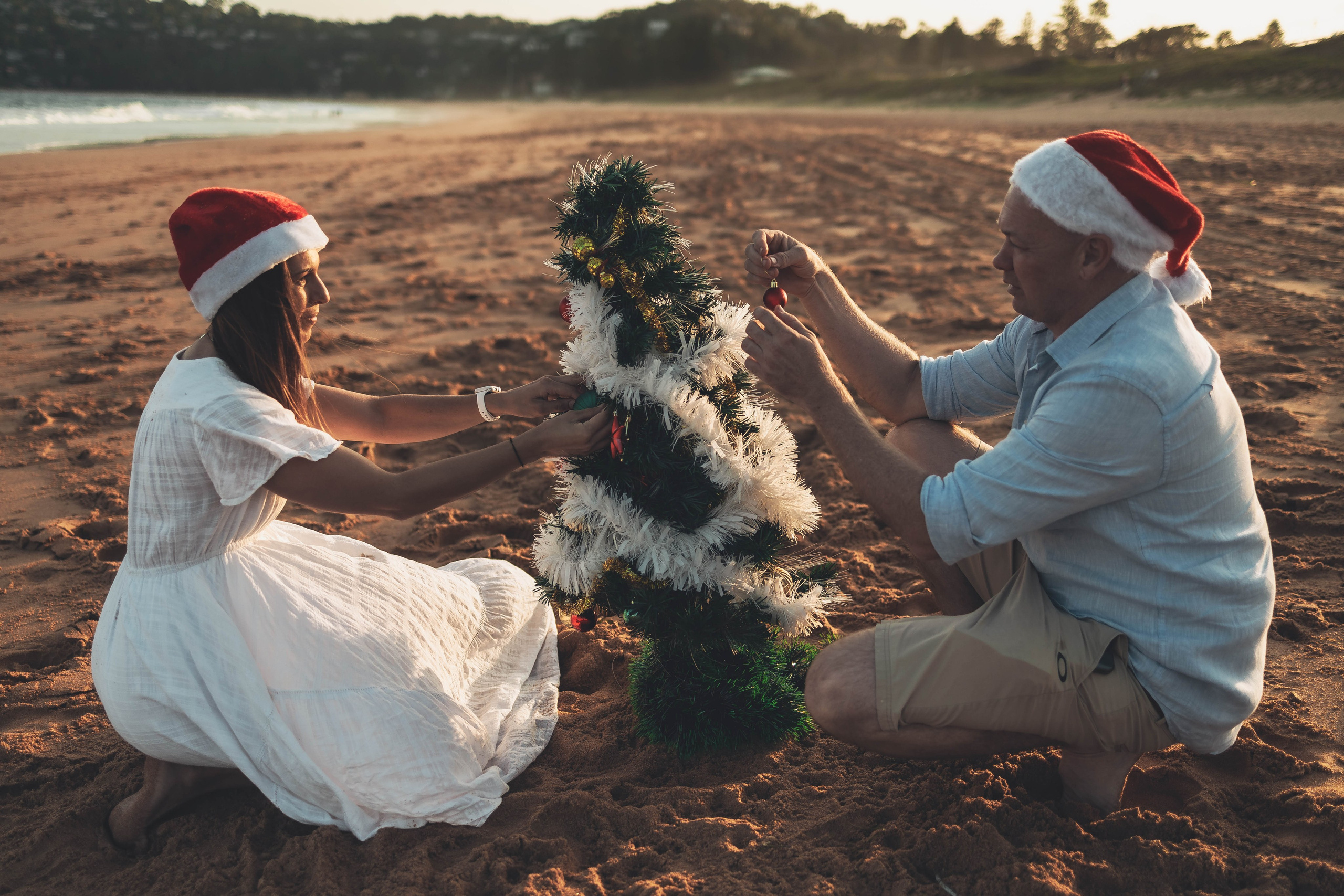 Kat + Andrew + Bella + Roxie. True Story Photography