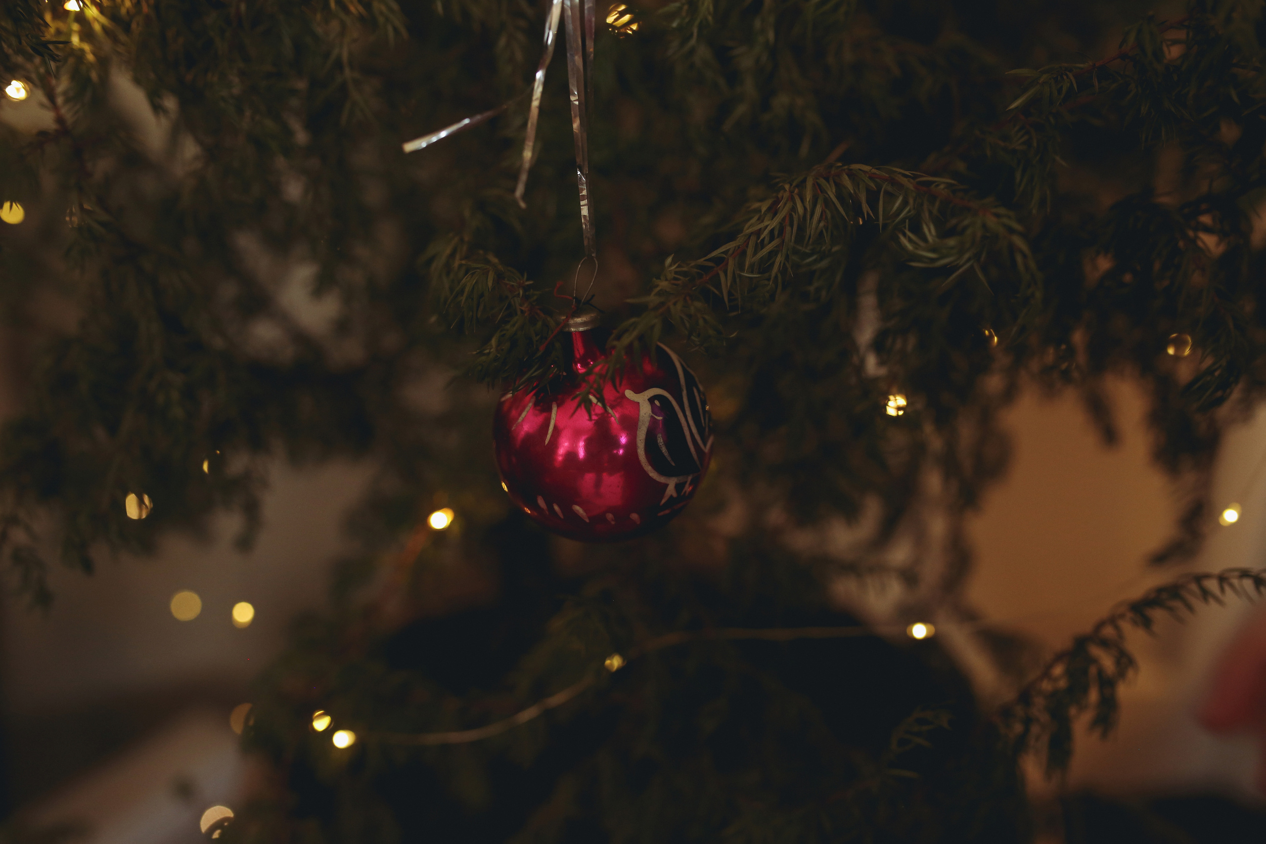 Старый Новый год. Свадебный, семейный и детский фотограф в Беларуси и за ее пределами