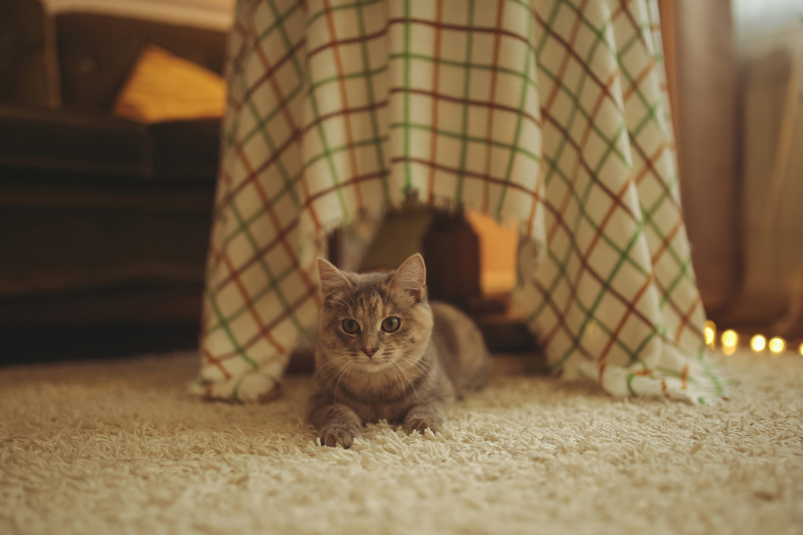 Старый Новый год. Свадебный, семейный и детский фотограф в Беларуси и за ее пределами