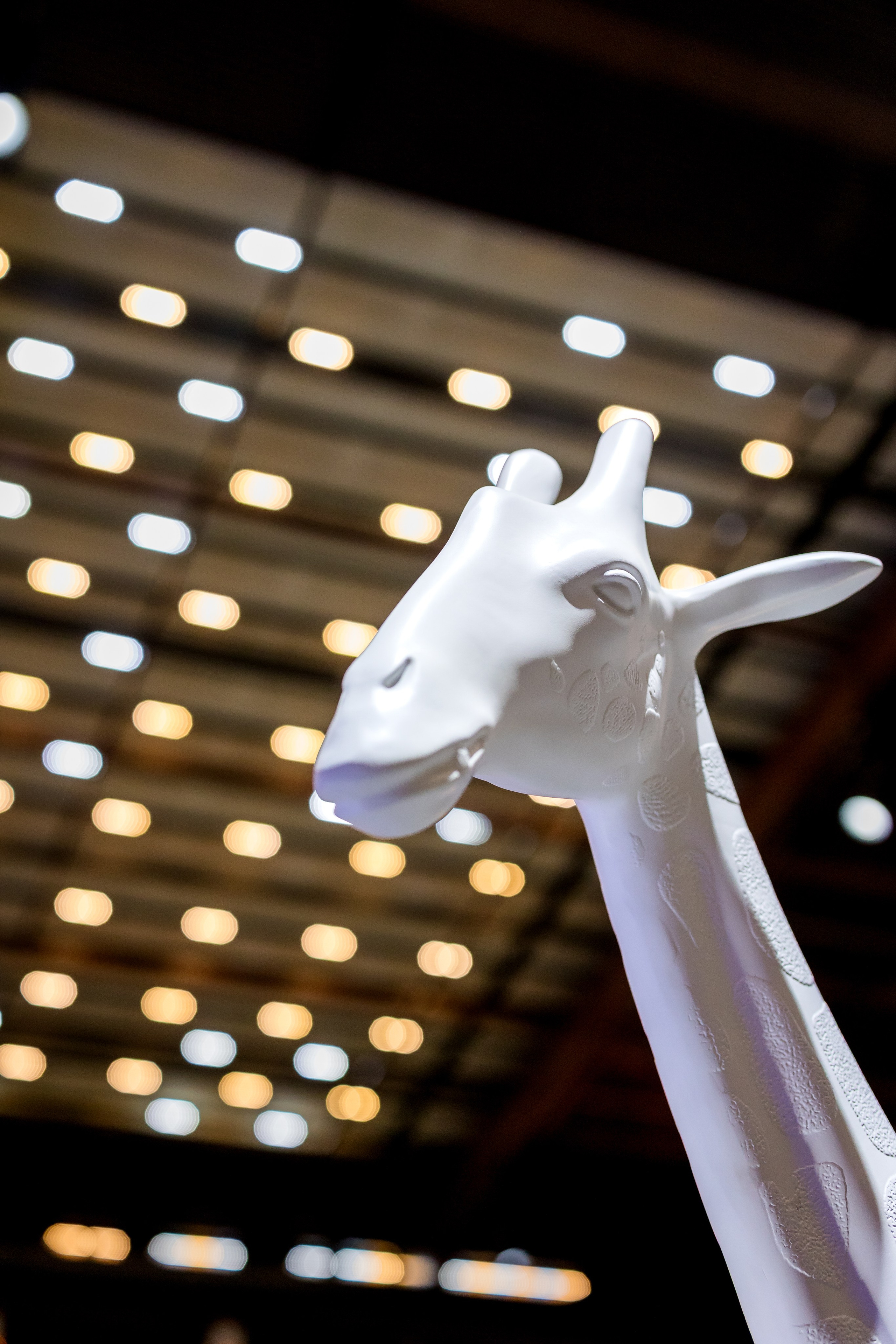 Osher & Or. AMIR BUCHNIK PHOTOGRAPHER