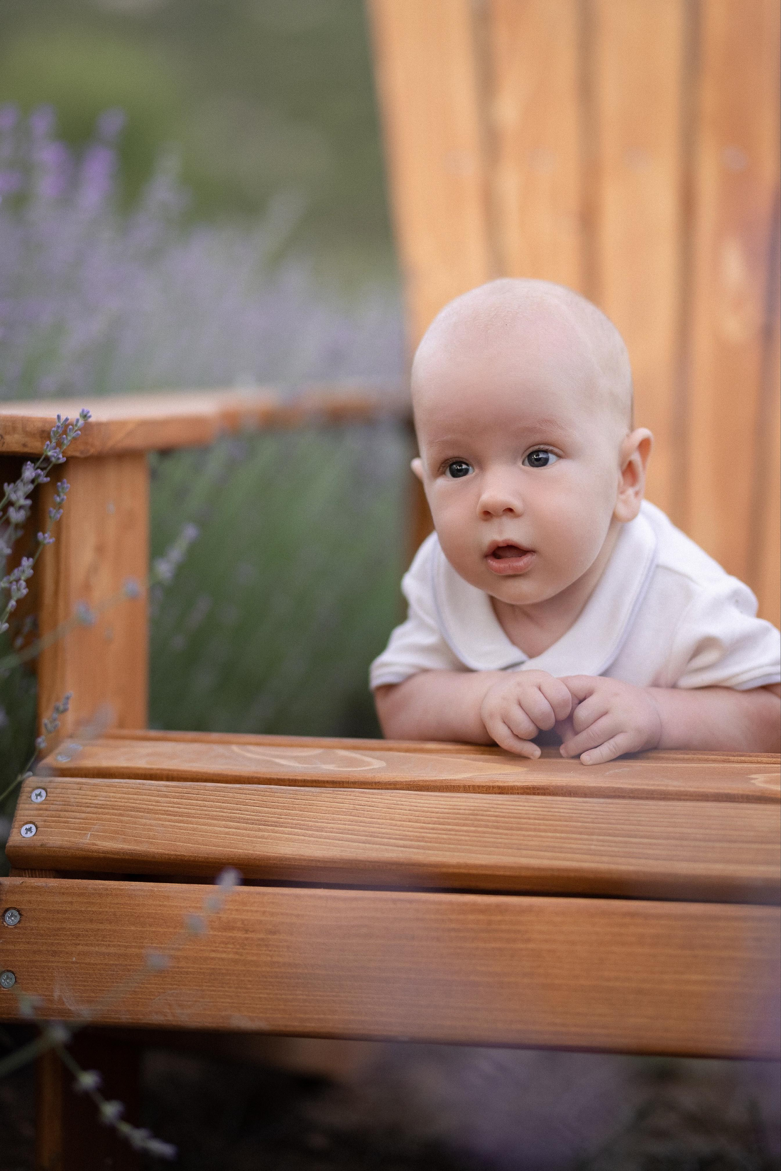 Лавандовые поля. Лавандовое поле. Лавандовые поля в Турции. Лавандовые поля Анталия. Фотосессия в лавандовом поле Турция. Что посетить в Анталии. Прованс в Турции. Фотограф на лавандовых полях в Турции. Фотограф Анталия. Фотограф в Анталии. Где находятся лавандовые поля в Турции. Поля лаванды, недалеко от Анталии. Куда поехать на выходные в Анталии. Турецкий лавандовый рай. Лаванда. Турция. Отдых в Турции.