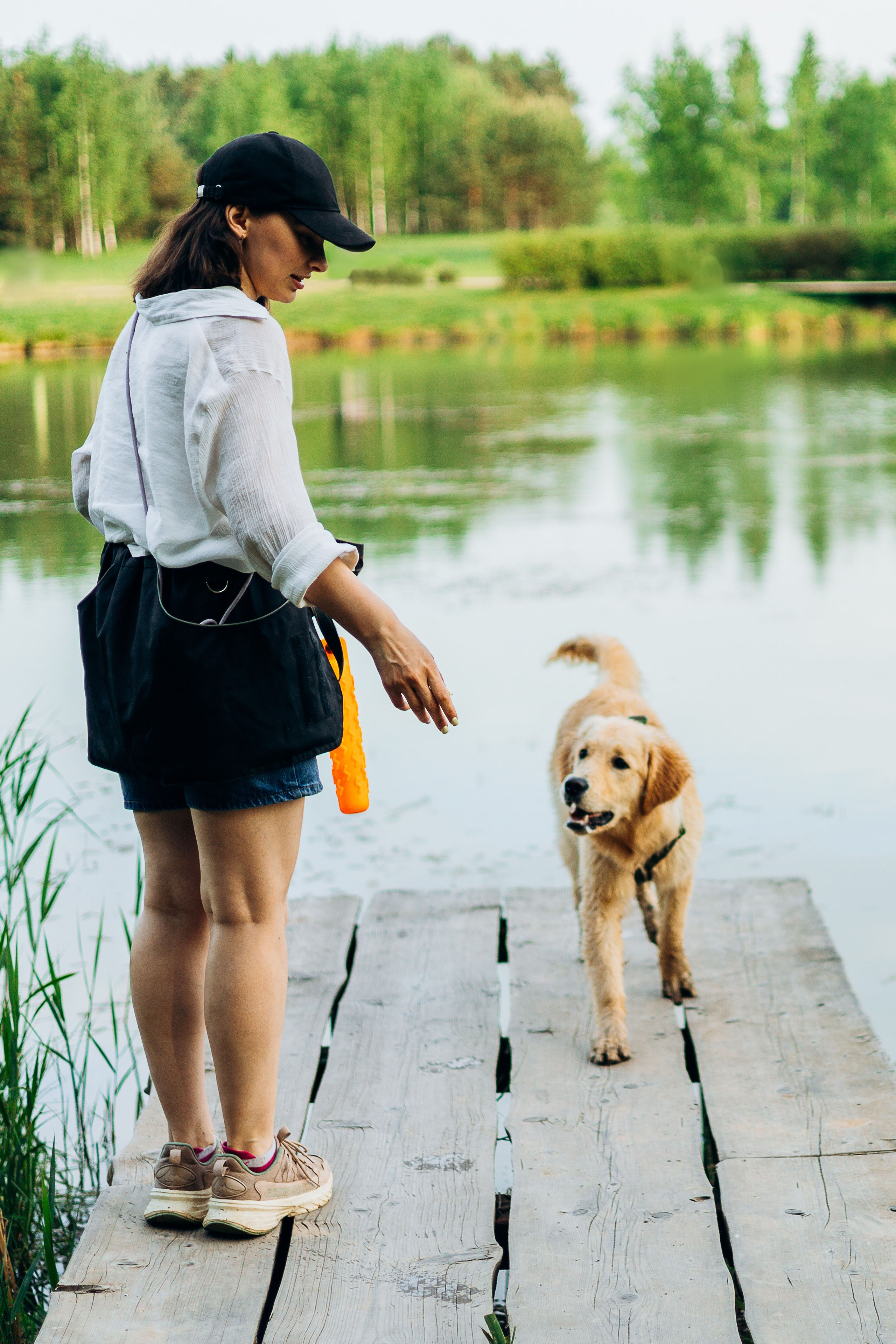 Настя, Арчи, Арагон. Фотограф-анималист | Белград