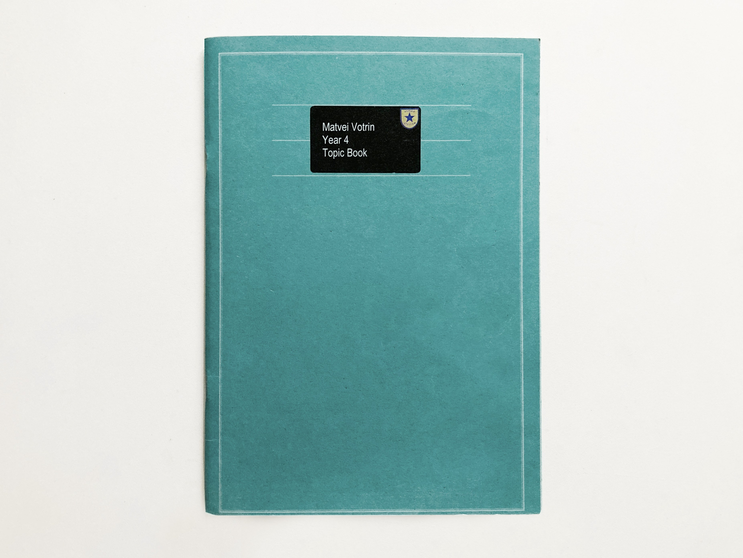 Муха в янтаре. Sveta Kaverina