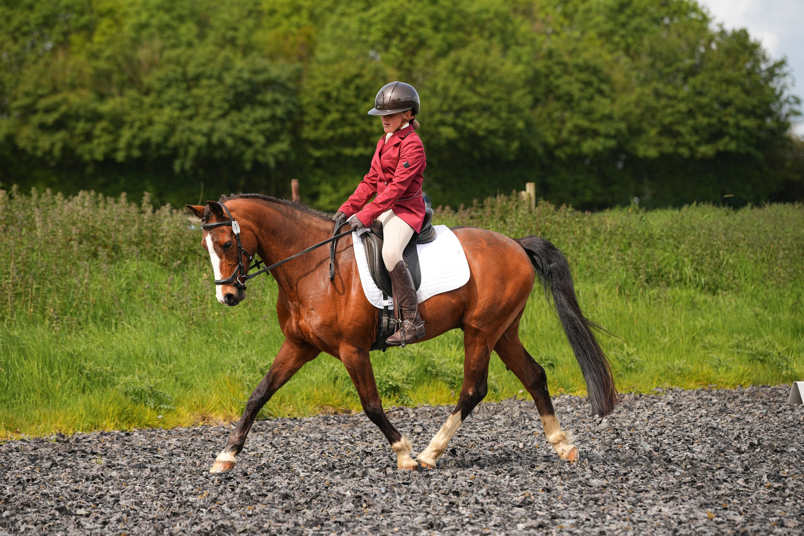 Dressage. Leicestershire Equine Photography by El | Authentic Equine Portraits & Events