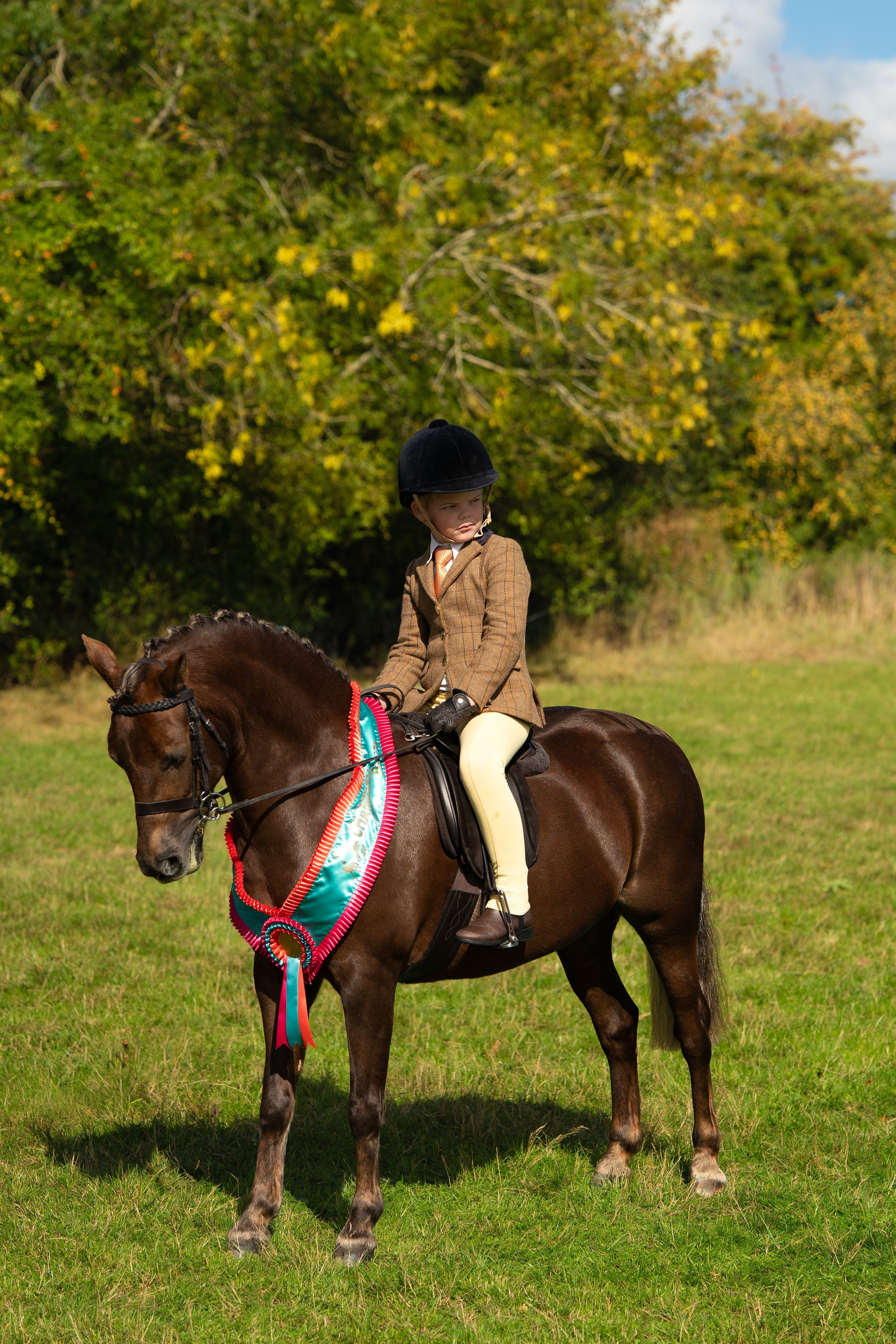 Showing. Leicestershire Equine Photography by El | Authentic Equine Portraits & Events