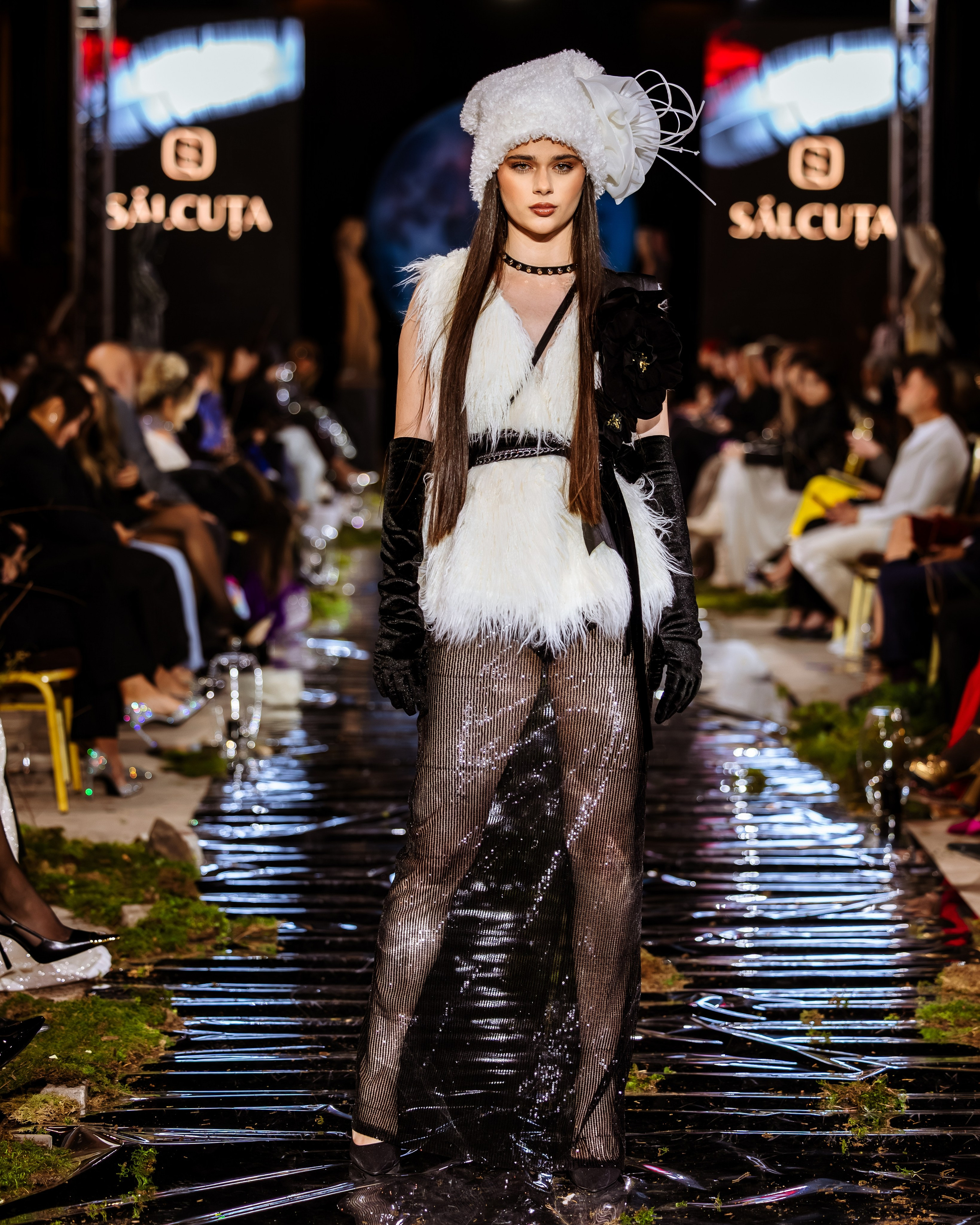 Prive. Marius Ciocan