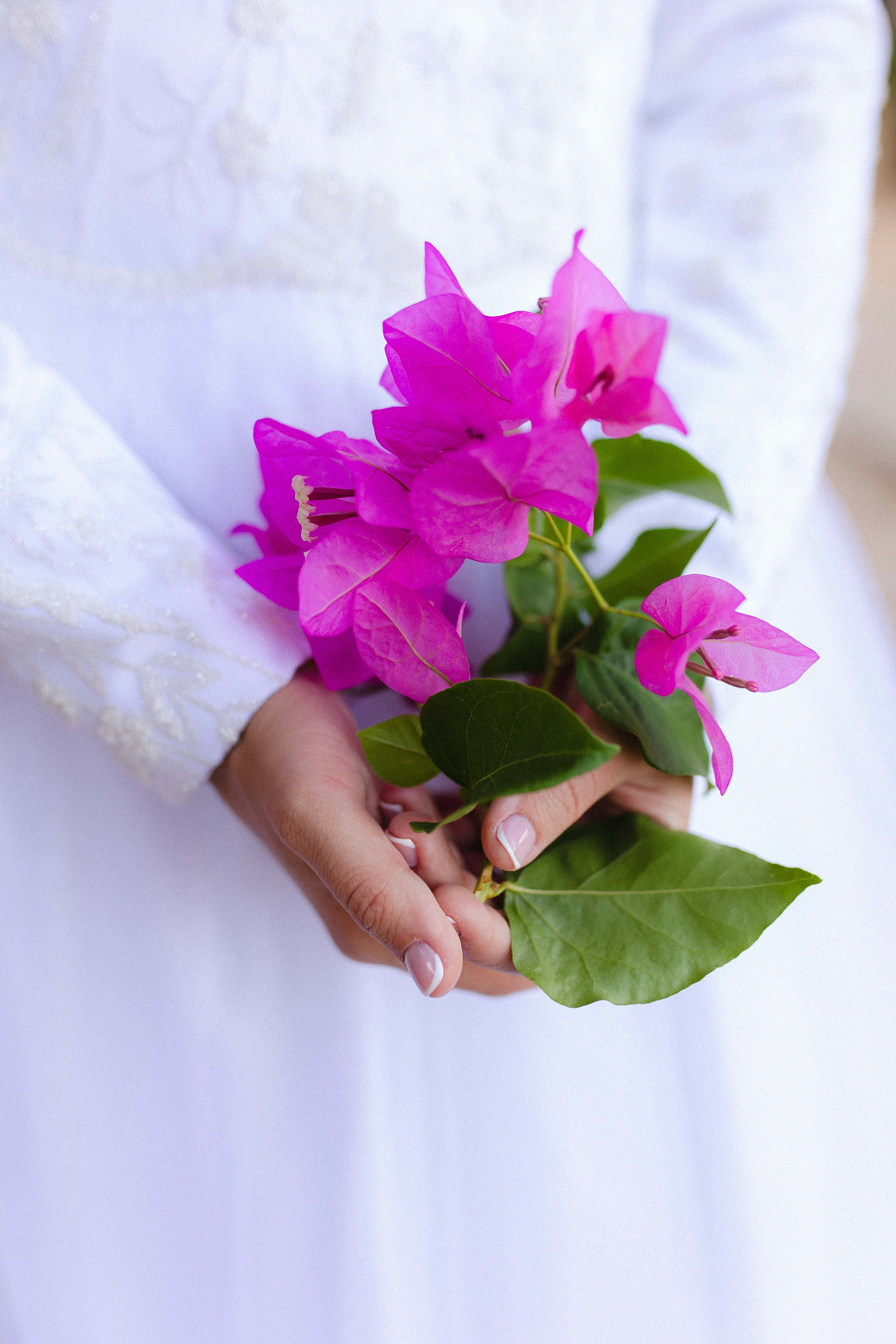 Pure & True. Https://shi-photo.com/